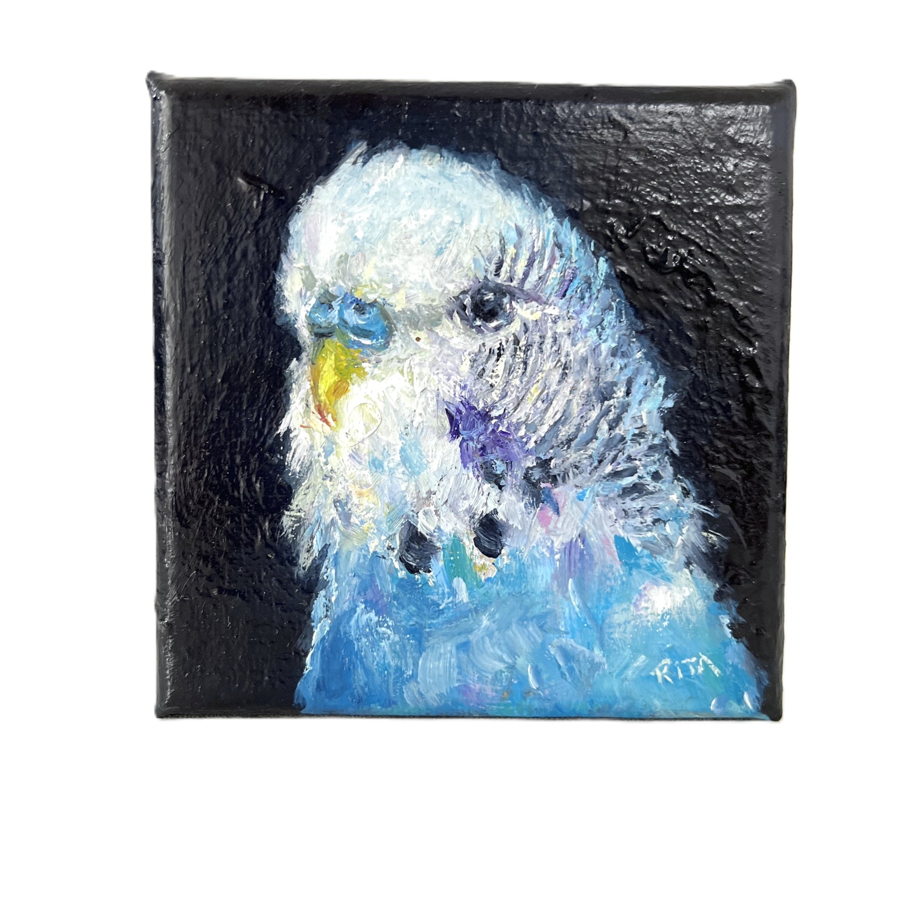 Original Bird Blue Budgie Mini Oil Painting