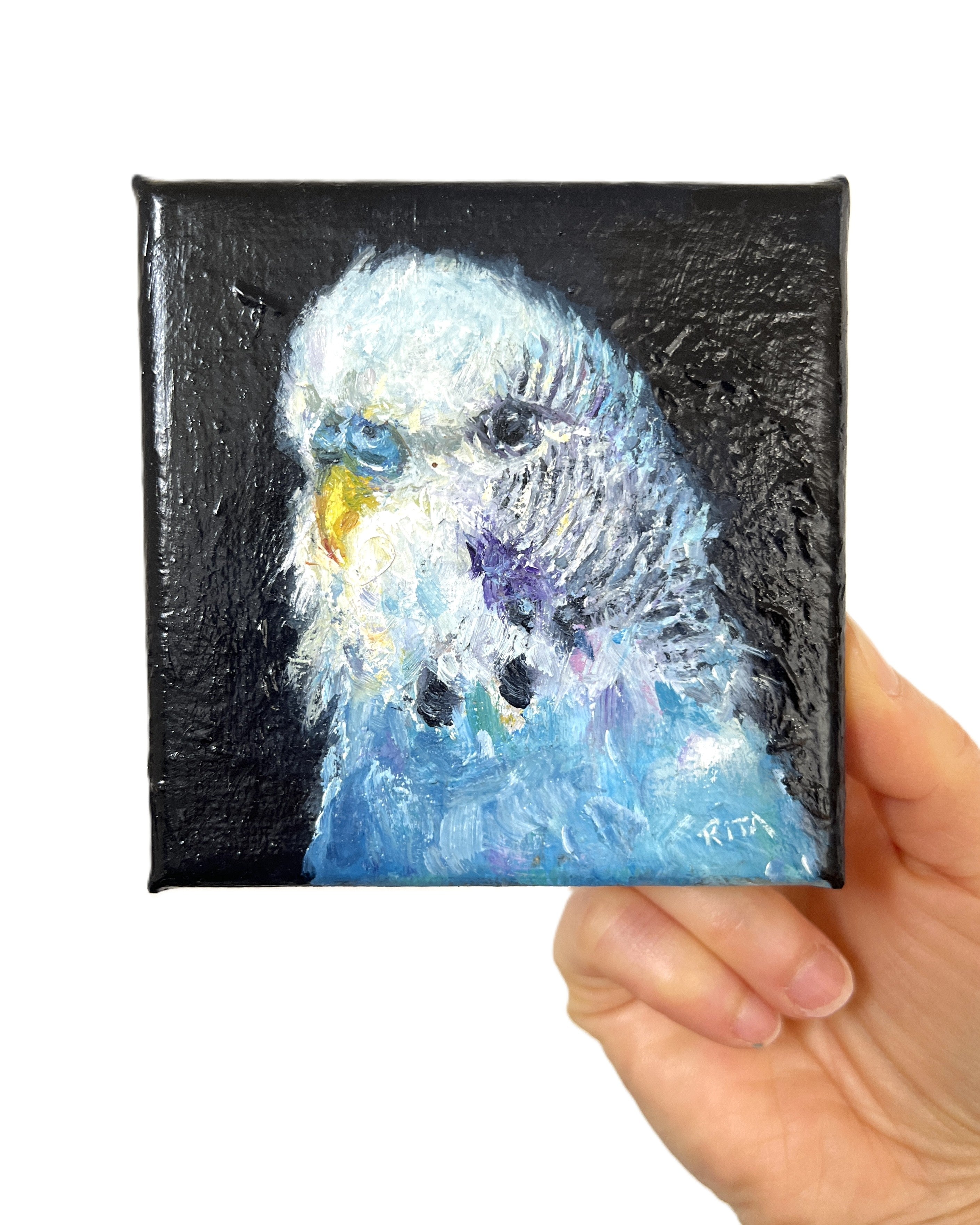 Original Bird Blue Budgie Mini Oil Painting