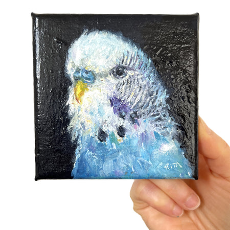 Original Bird Blue Budgie Mini Oil Painting