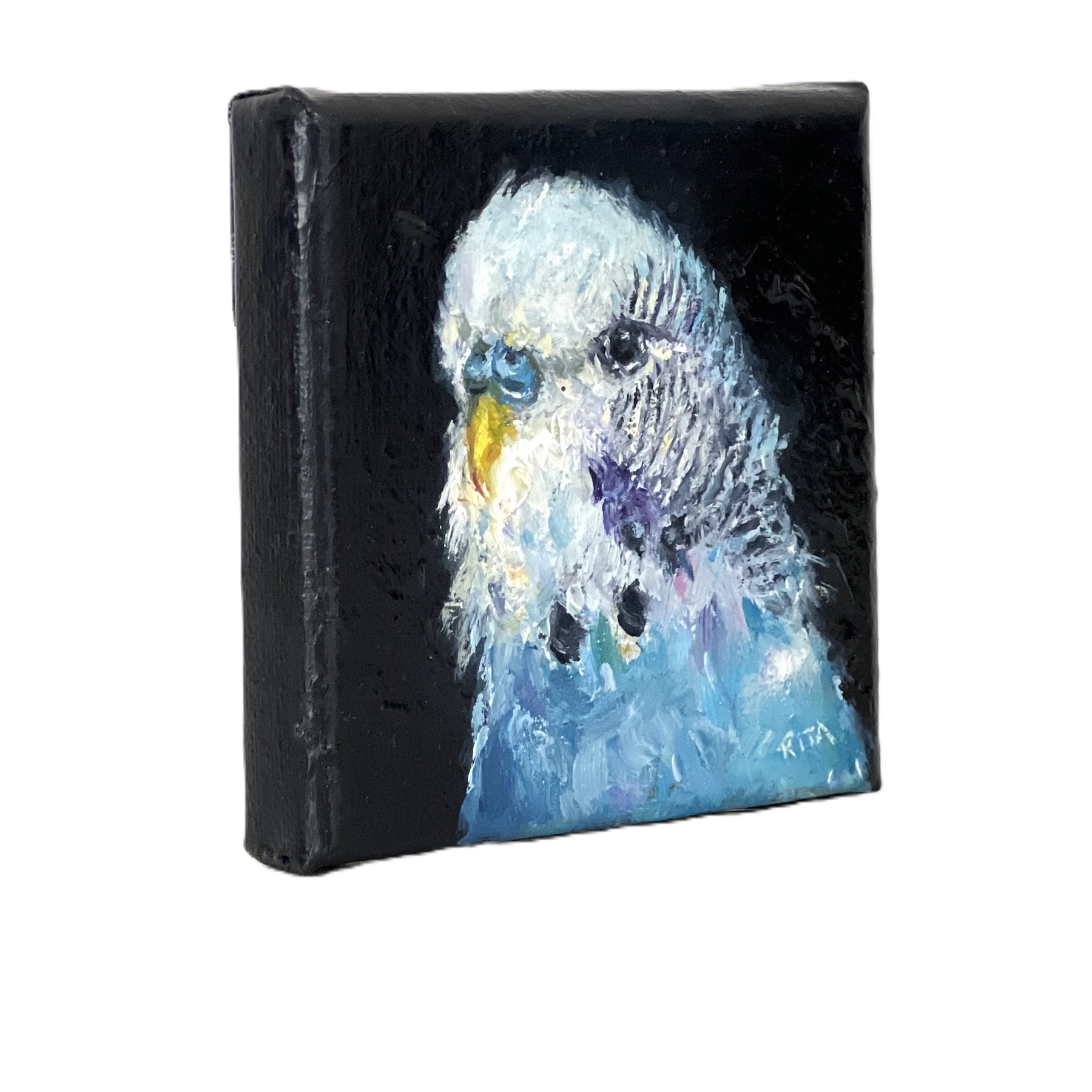 Original Bird Blue Budgie Mini Oil Painting