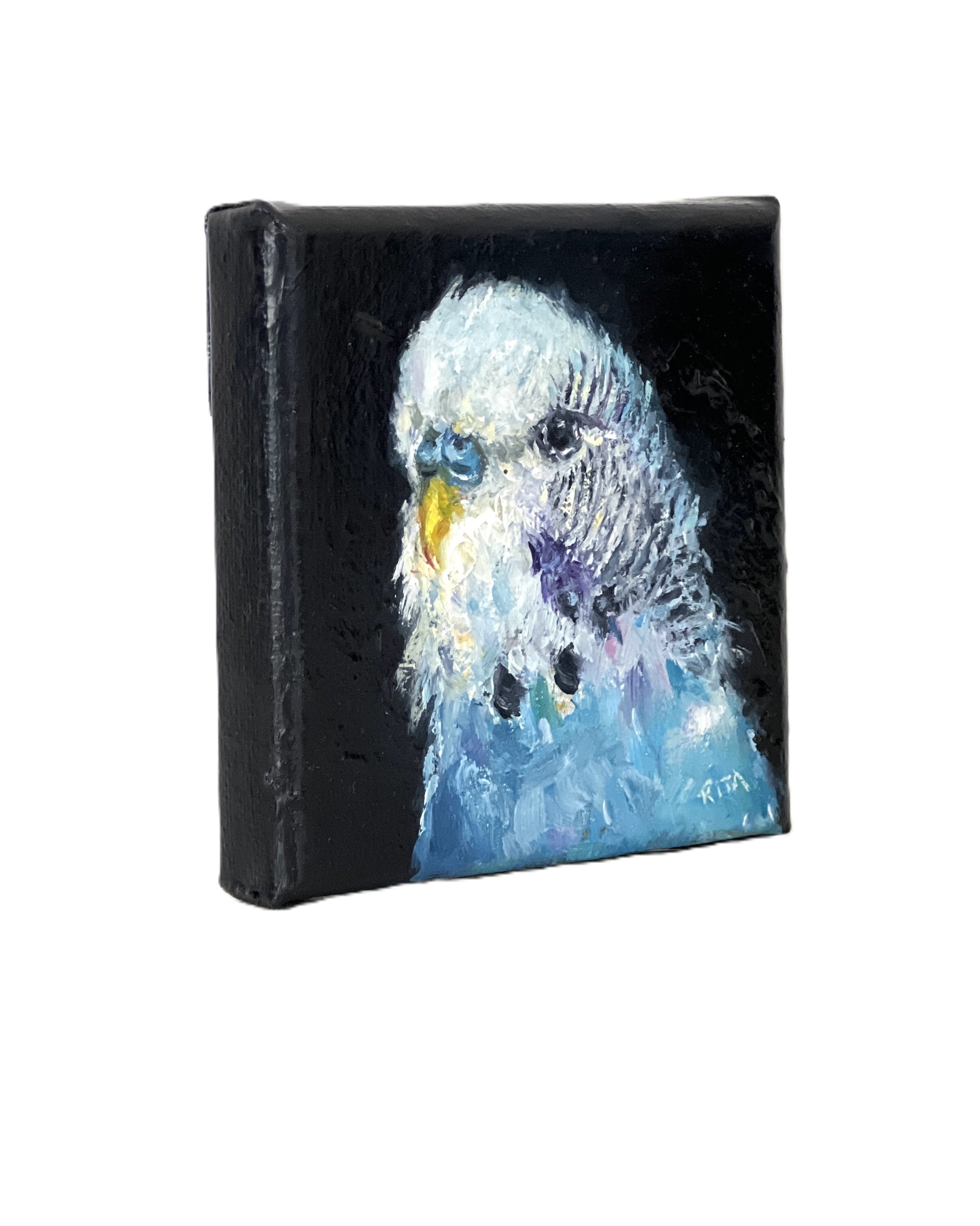 Original Bird Blue Budgie Mini Oil Painting