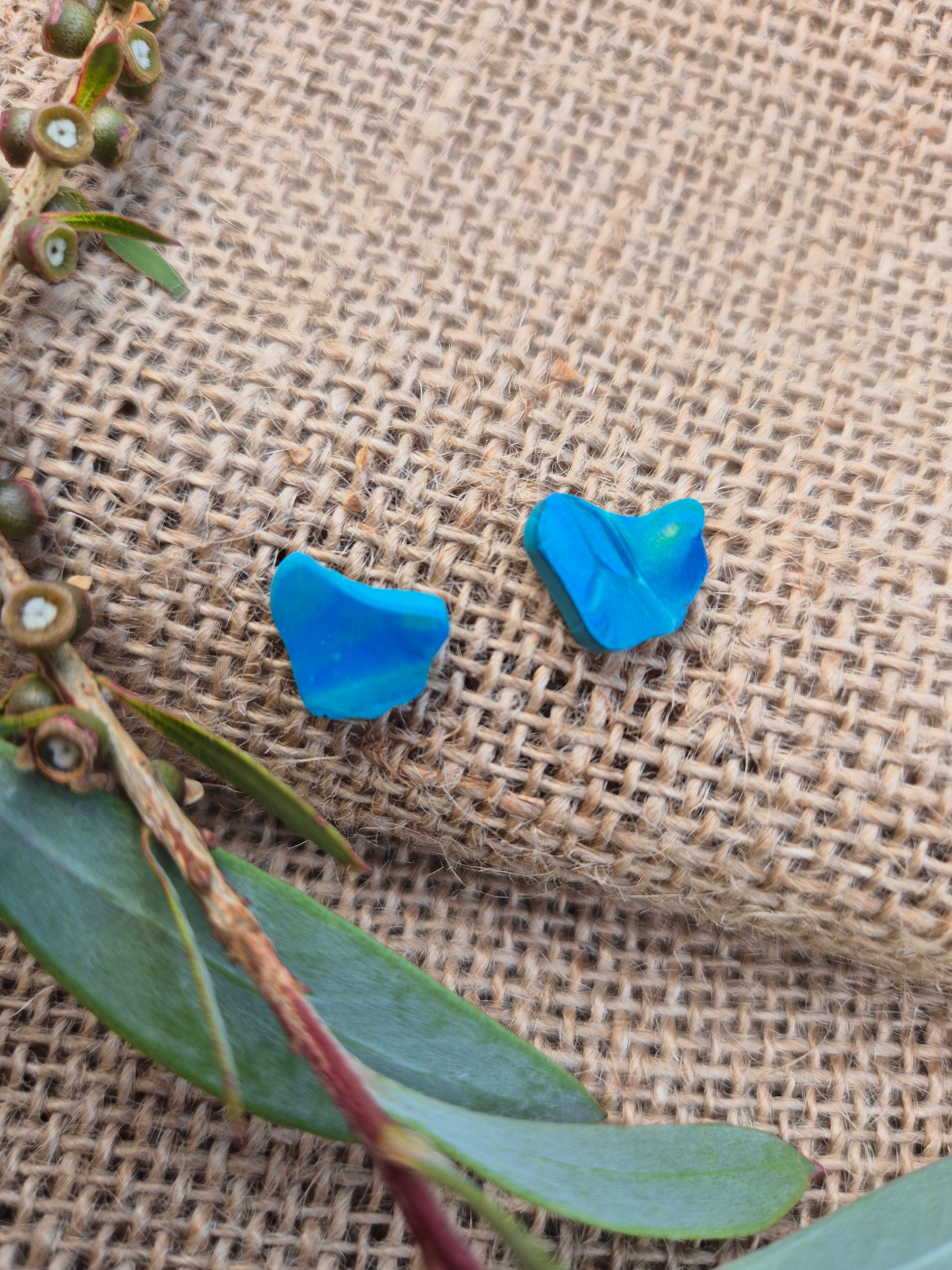 Map of Tasmania Earring Studs