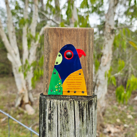 BIRD BLOCK - RAINBOW LORIKEET