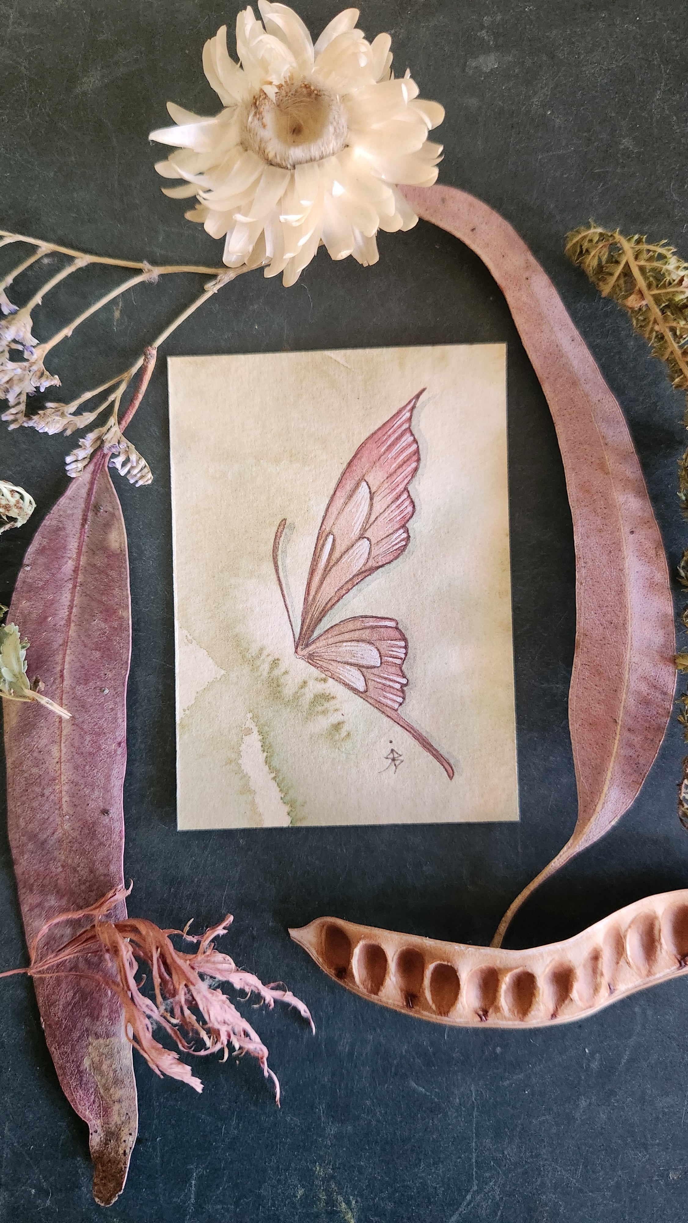 ACEO Mini Watercolour Artwork Original Art Card Collectable - Pink Faery Wing