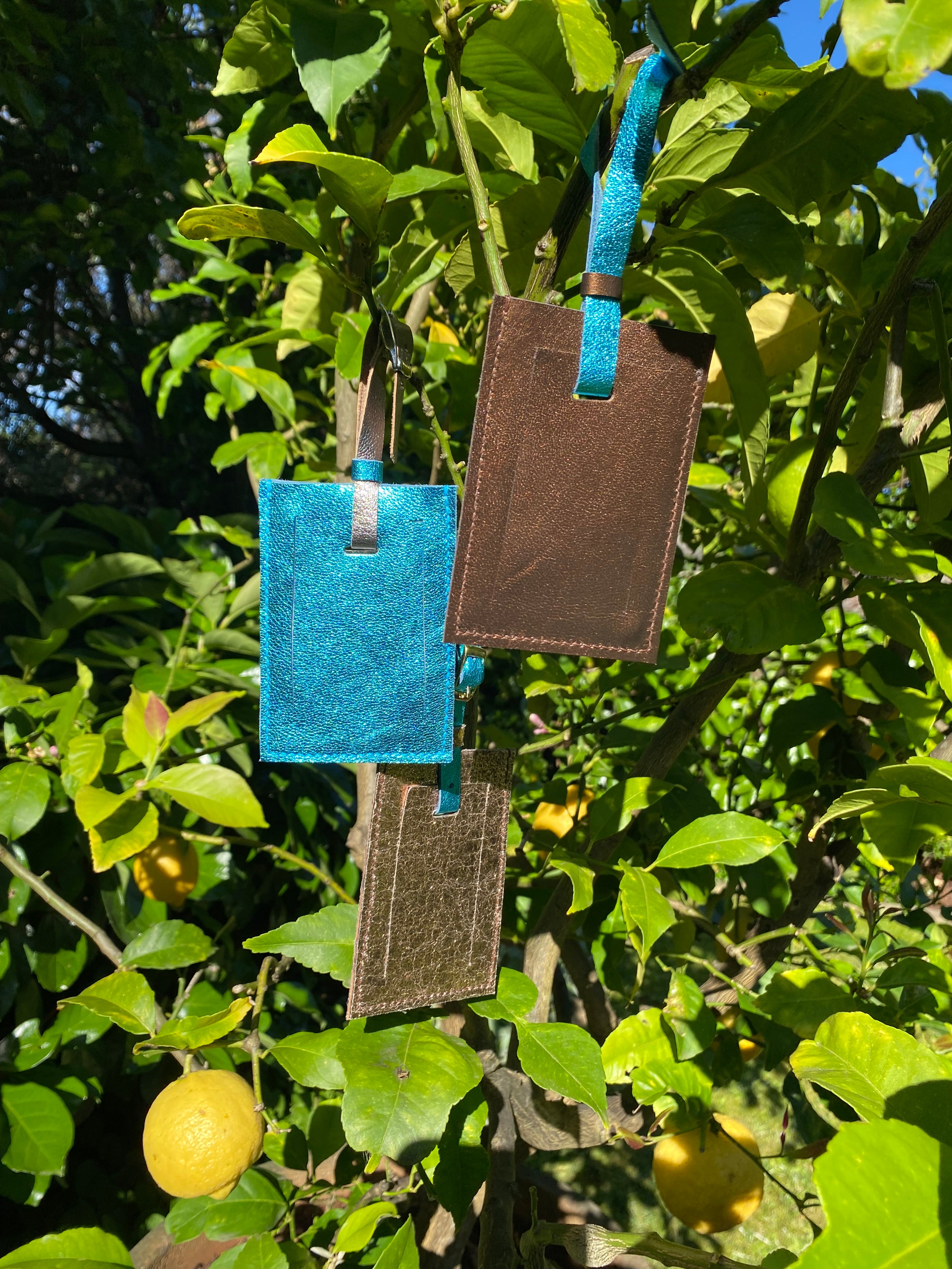 Leather luggage tags