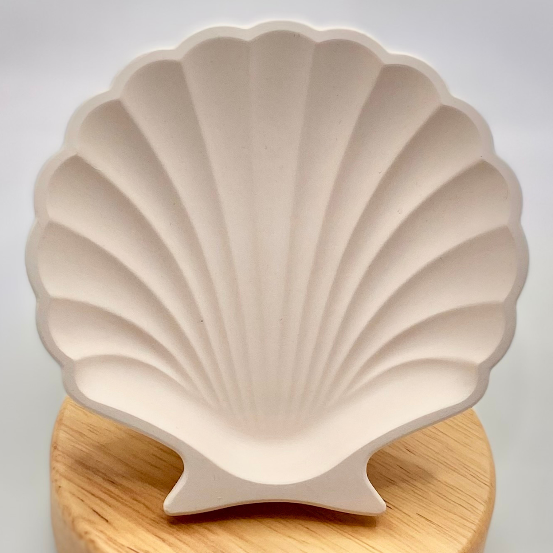 Shell dish | Colour decor collection