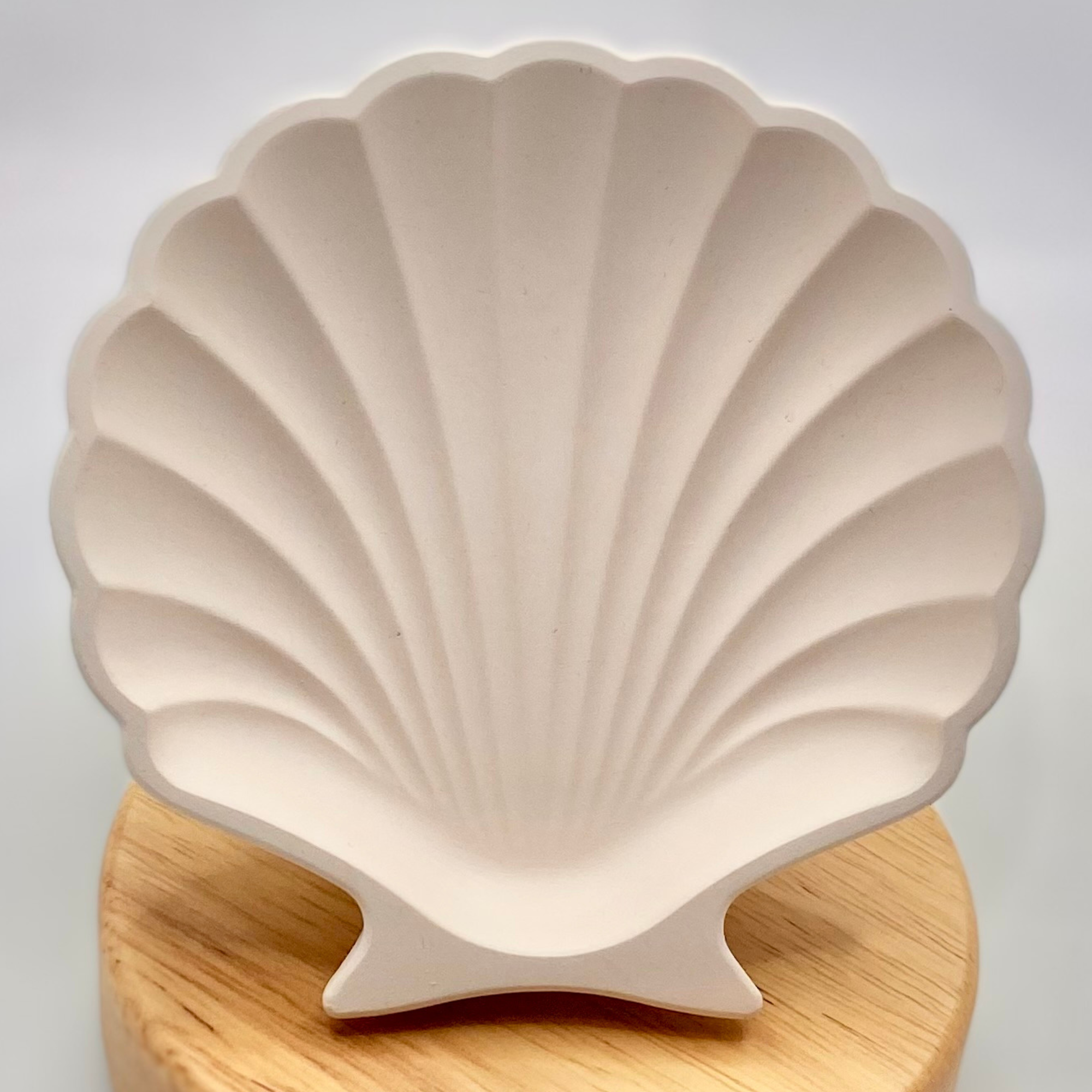 Shell dish | Colour decor collection