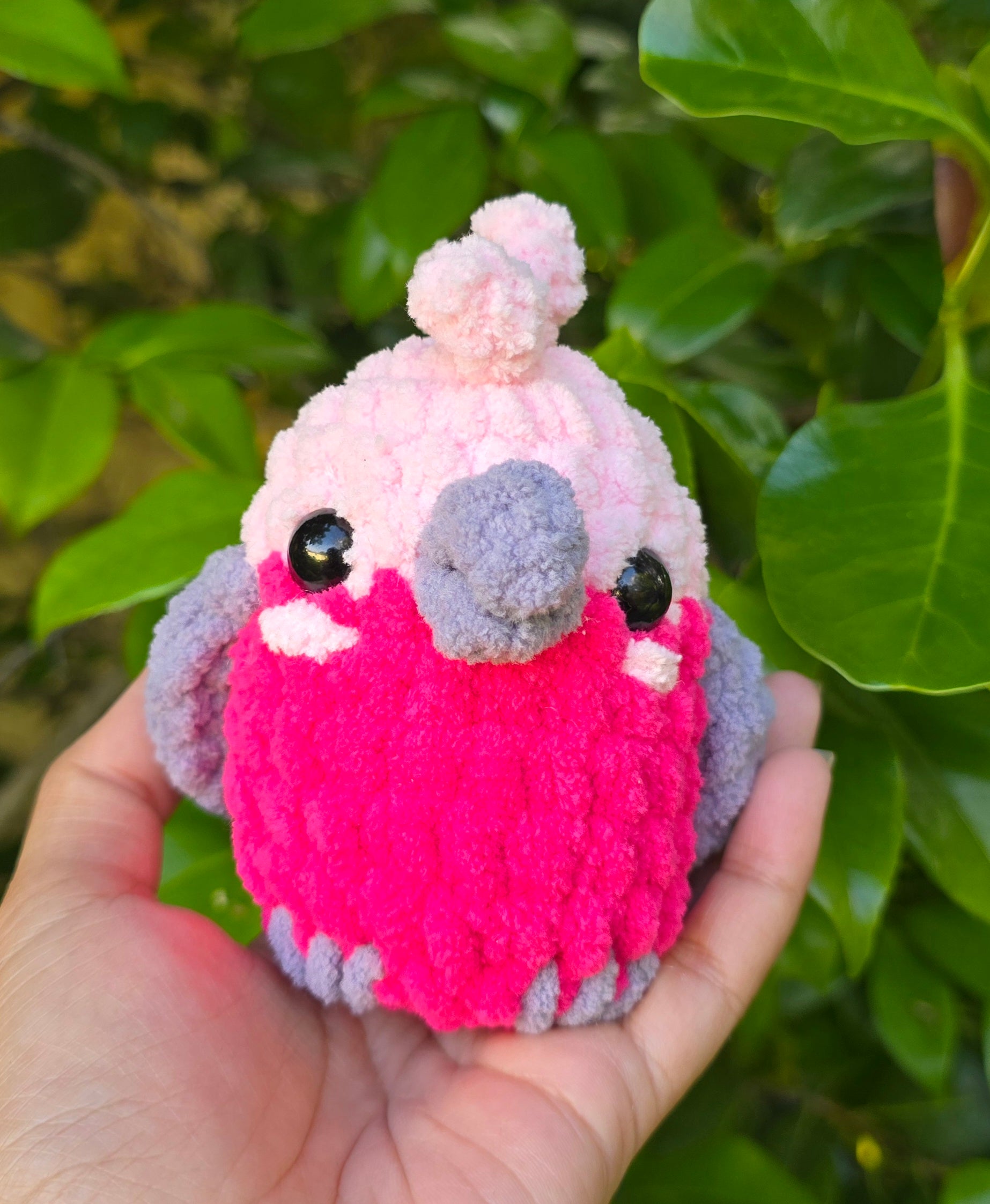 Australian Birds Crochet