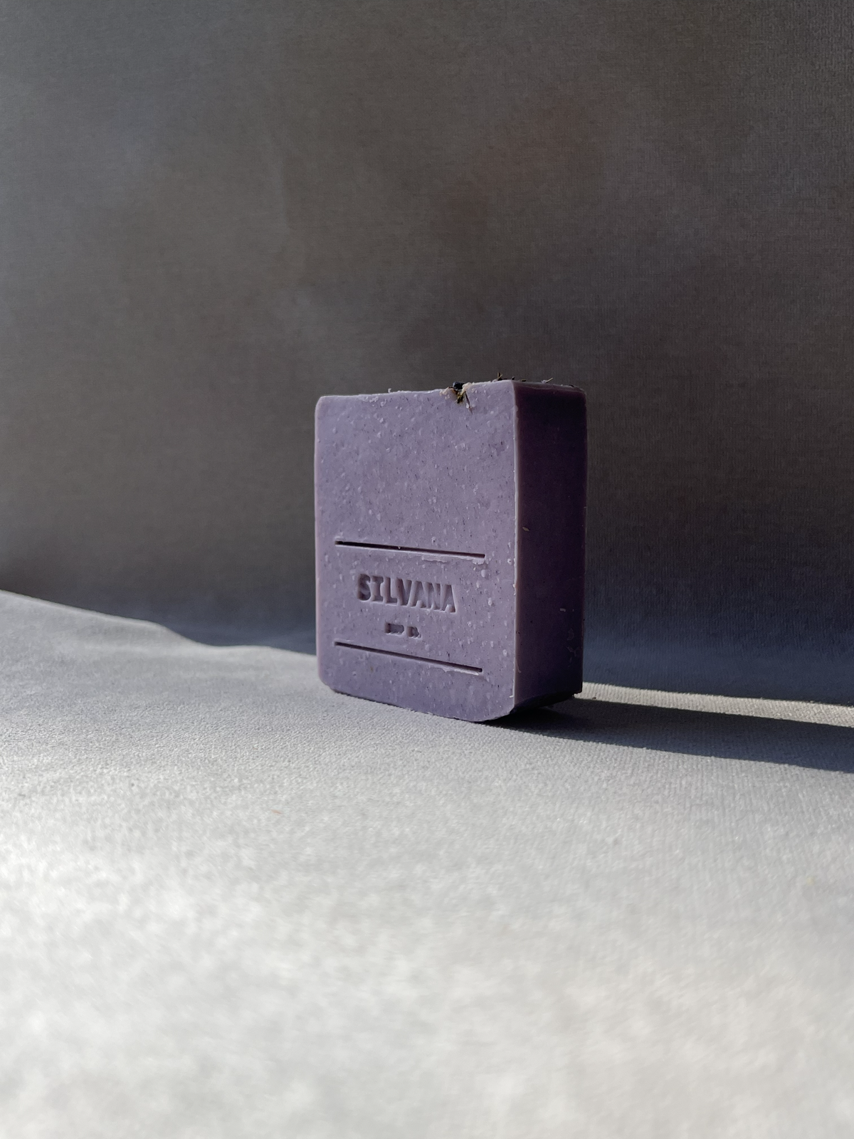 Lavender fields | Botanical collection