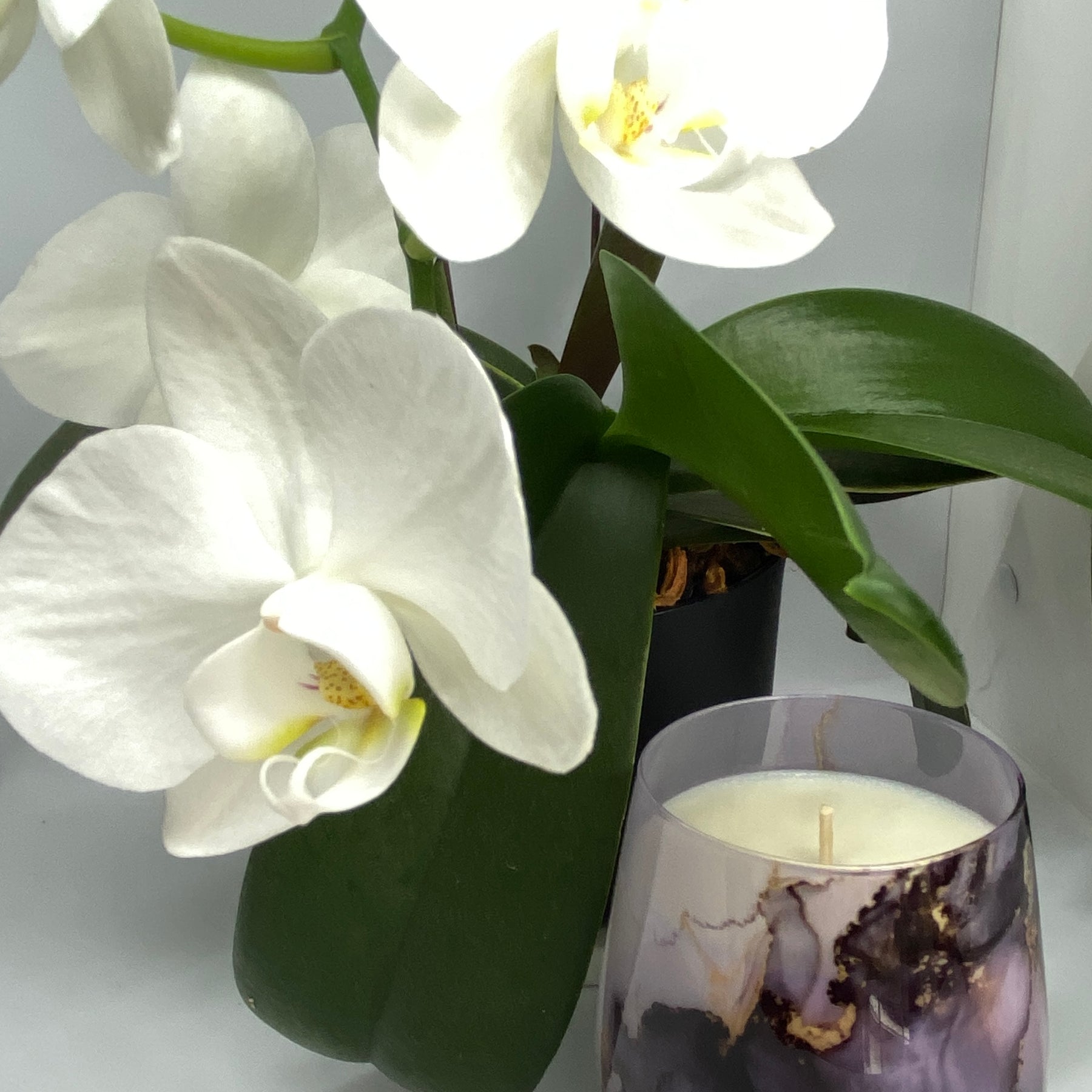 Renee Marble Purple Agate Glass - Poured to Order