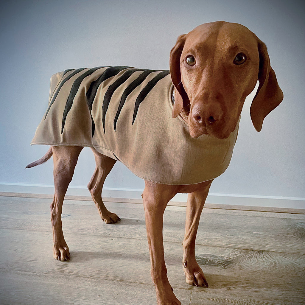 Dusty Dog Brown - 7 sizes - XS to L