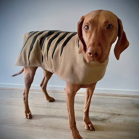 Dusty Dog Brown - 7 sizes - XS to L