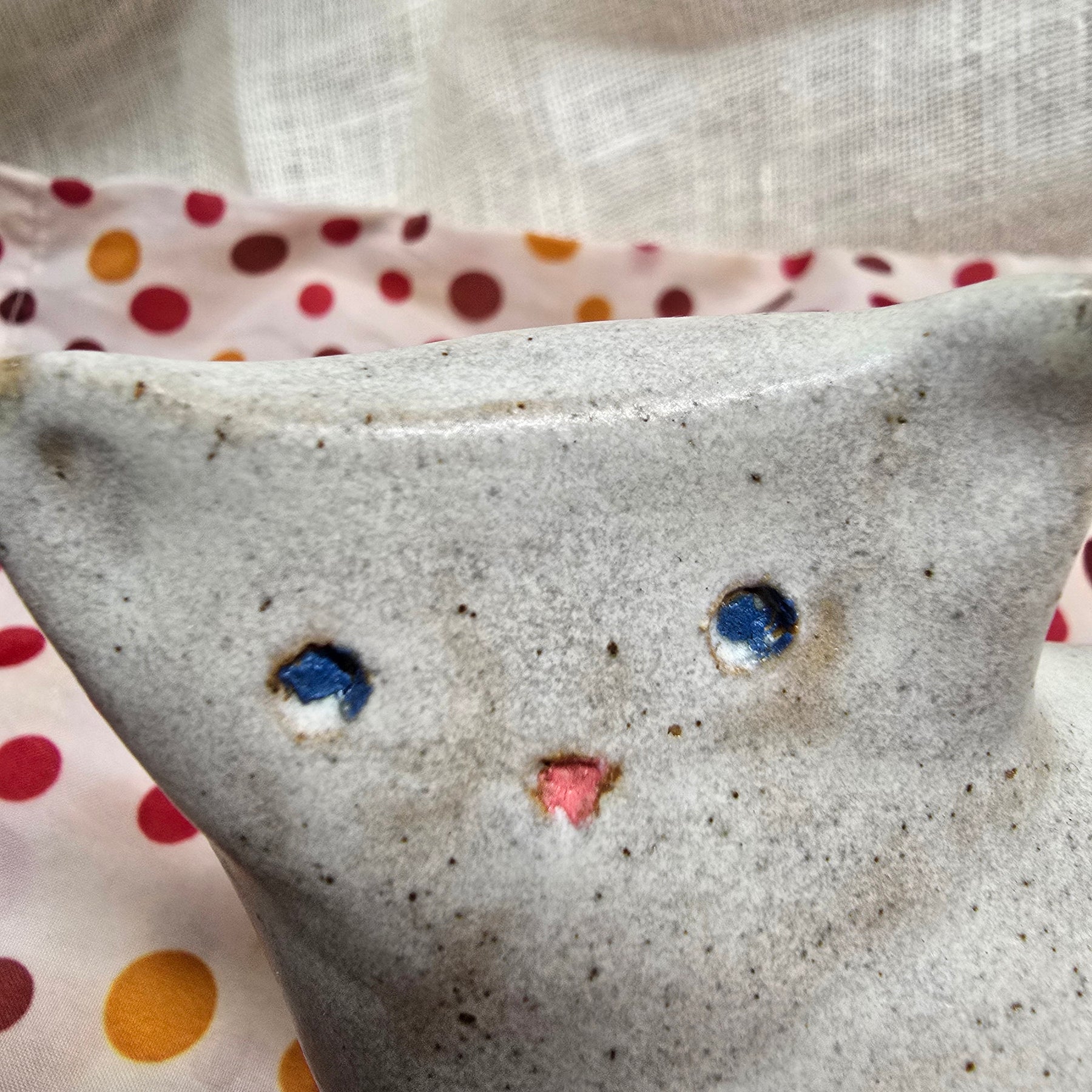 Little cat