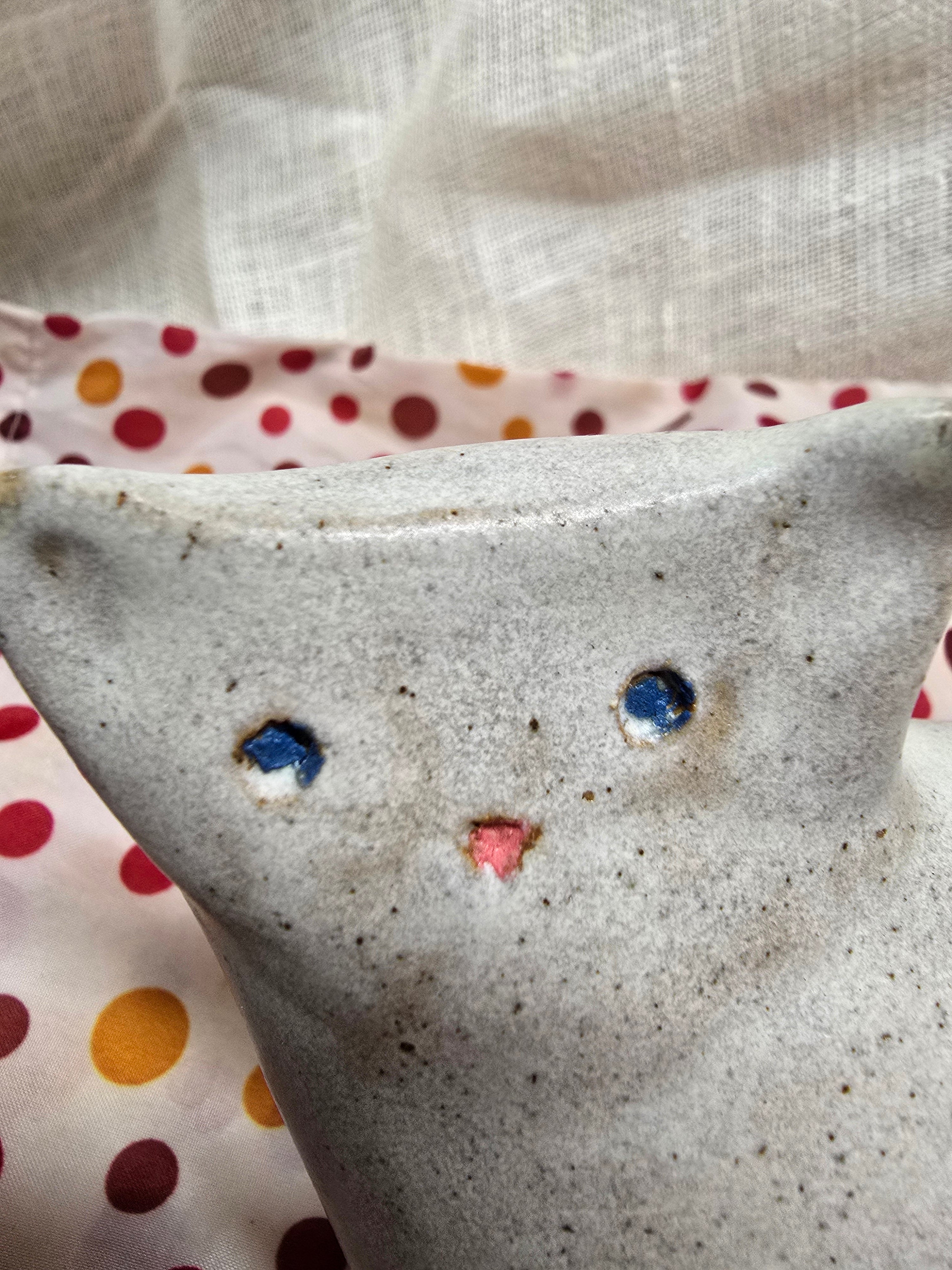Little cat