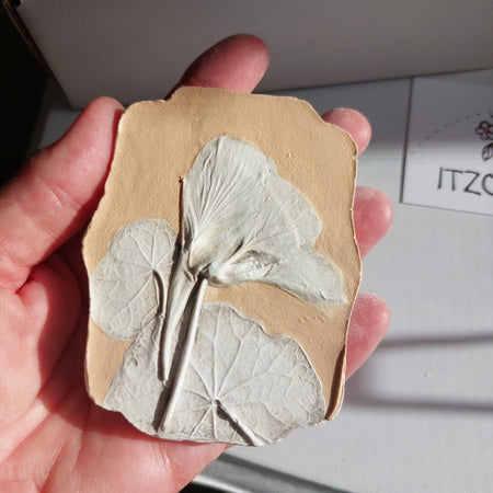 Hand-pressed botanical Wall Art | Floral Bas-Relief Plaster Plaque