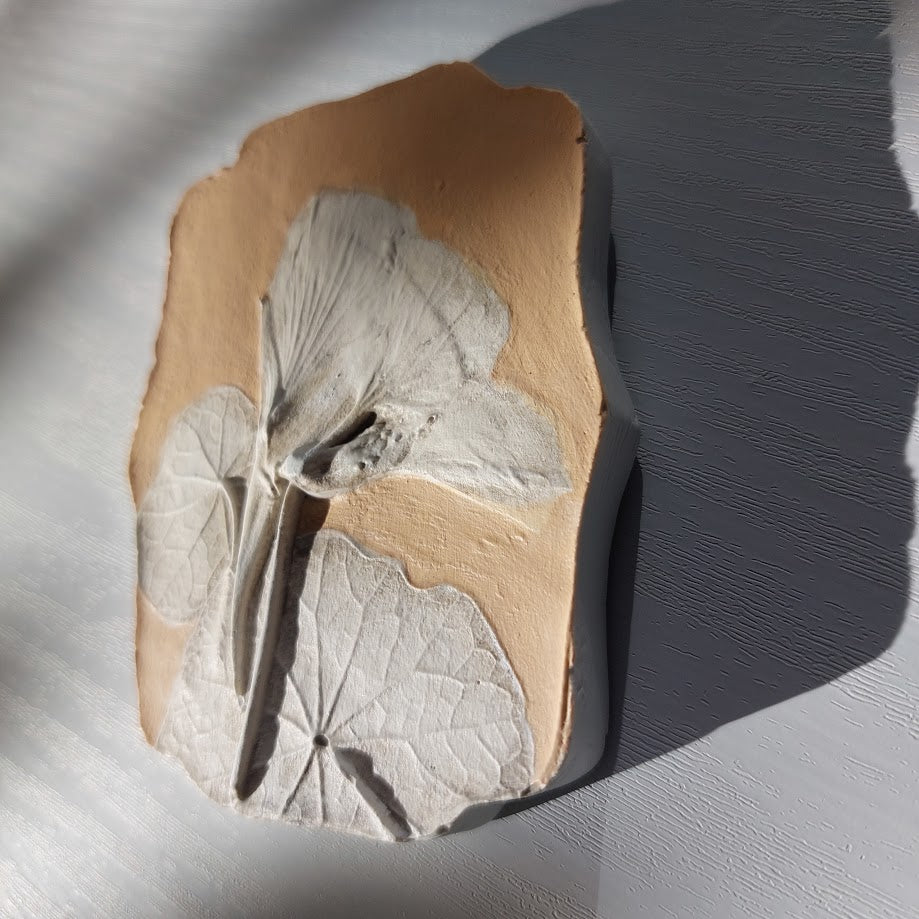 Hand-pressed botanical Wall Art | Floral Bas-Relief Plaster Plaque