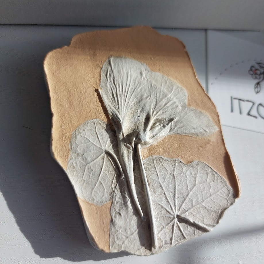 Hand-pressed botanical Wall Art | Floral Bas-Relief Plaster Plaque
