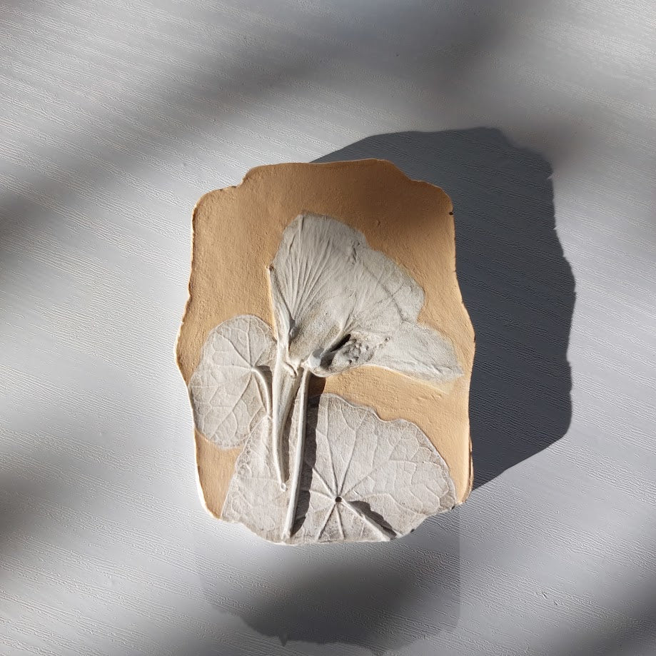 Hand-pressed botanical Wall Art | Floral Bas-Relief Plaster Plaque