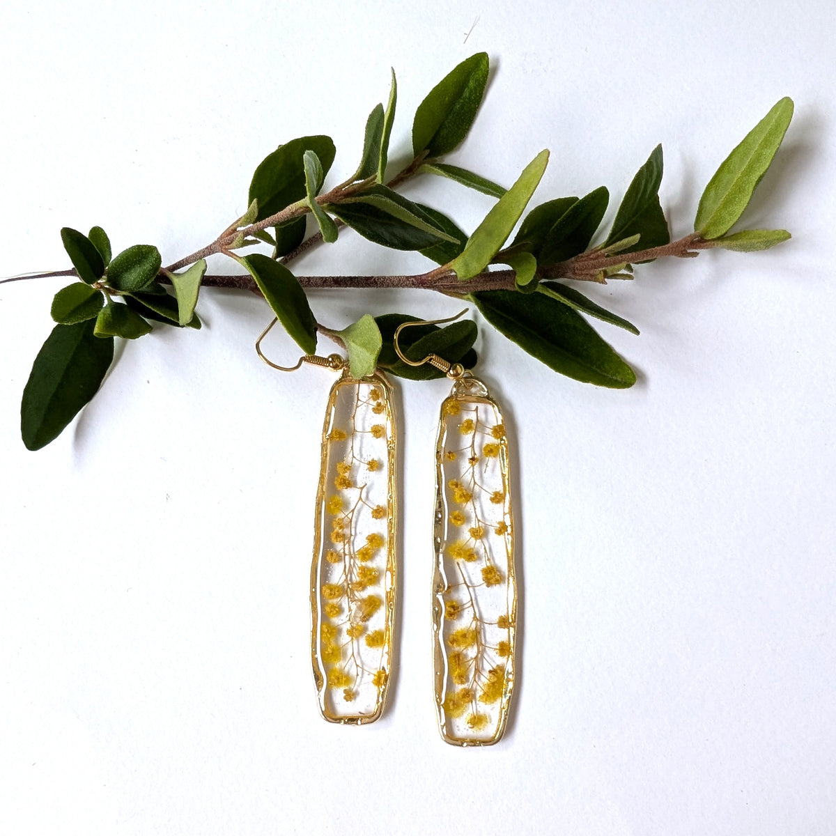 Real Australian Wattle Flower Resin Dangle Earrings