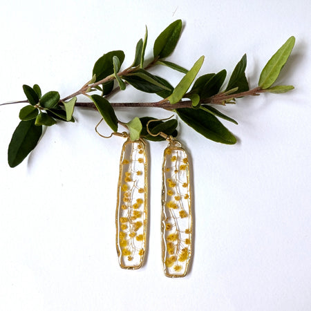 Real Australian Wattle Flower Resin Dangle Earrings