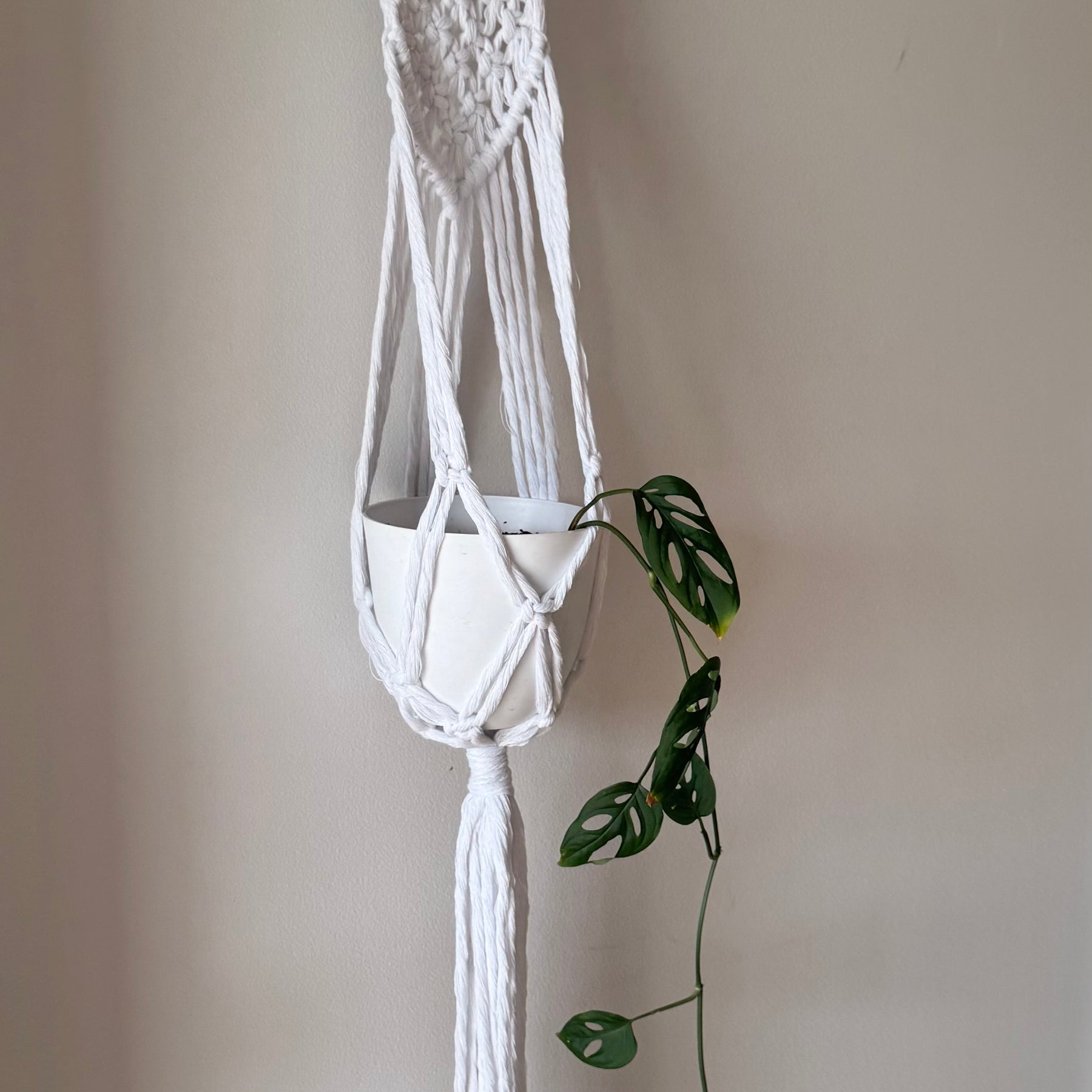 Macrame Plant Hanger