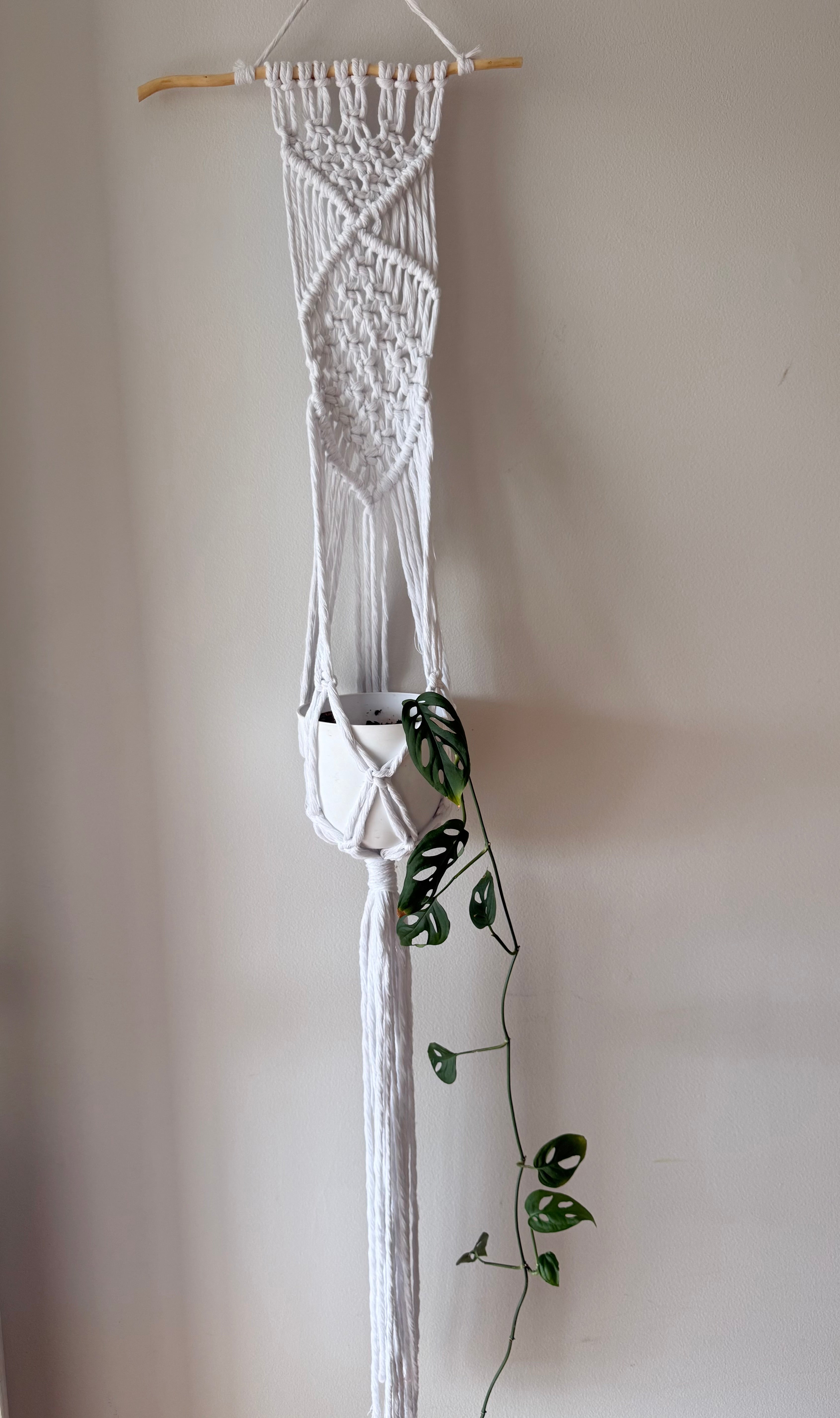 Macrame Plant Hanger