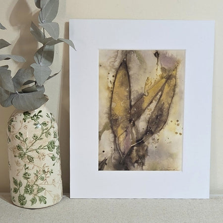 Ancient Gum - Original Artwork – Botanical Print & Watercolour