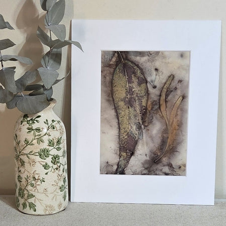 Whispering Gum ~ Original Artwork – Botanical Print & Watercolour