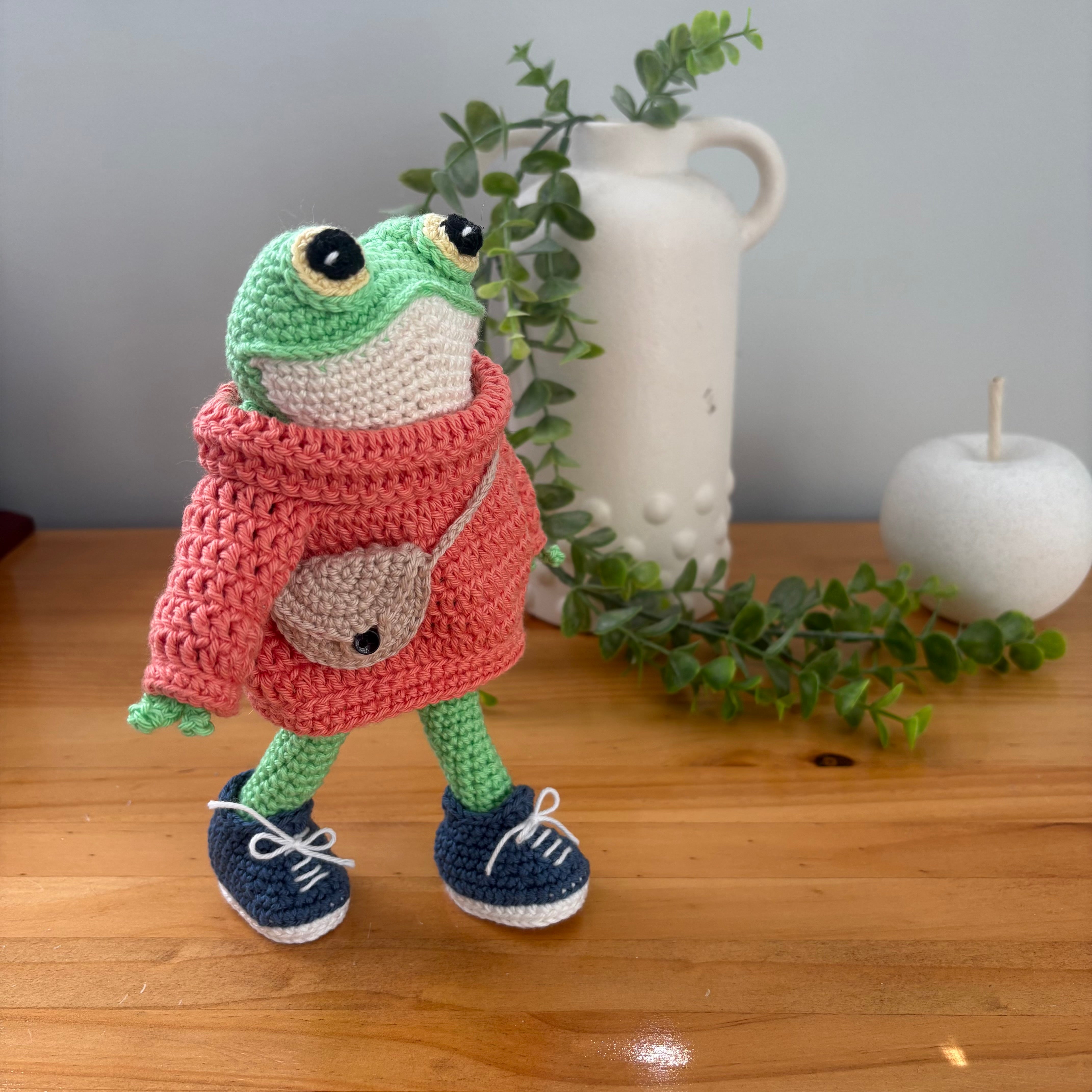 Frog in sweater and sneakers
