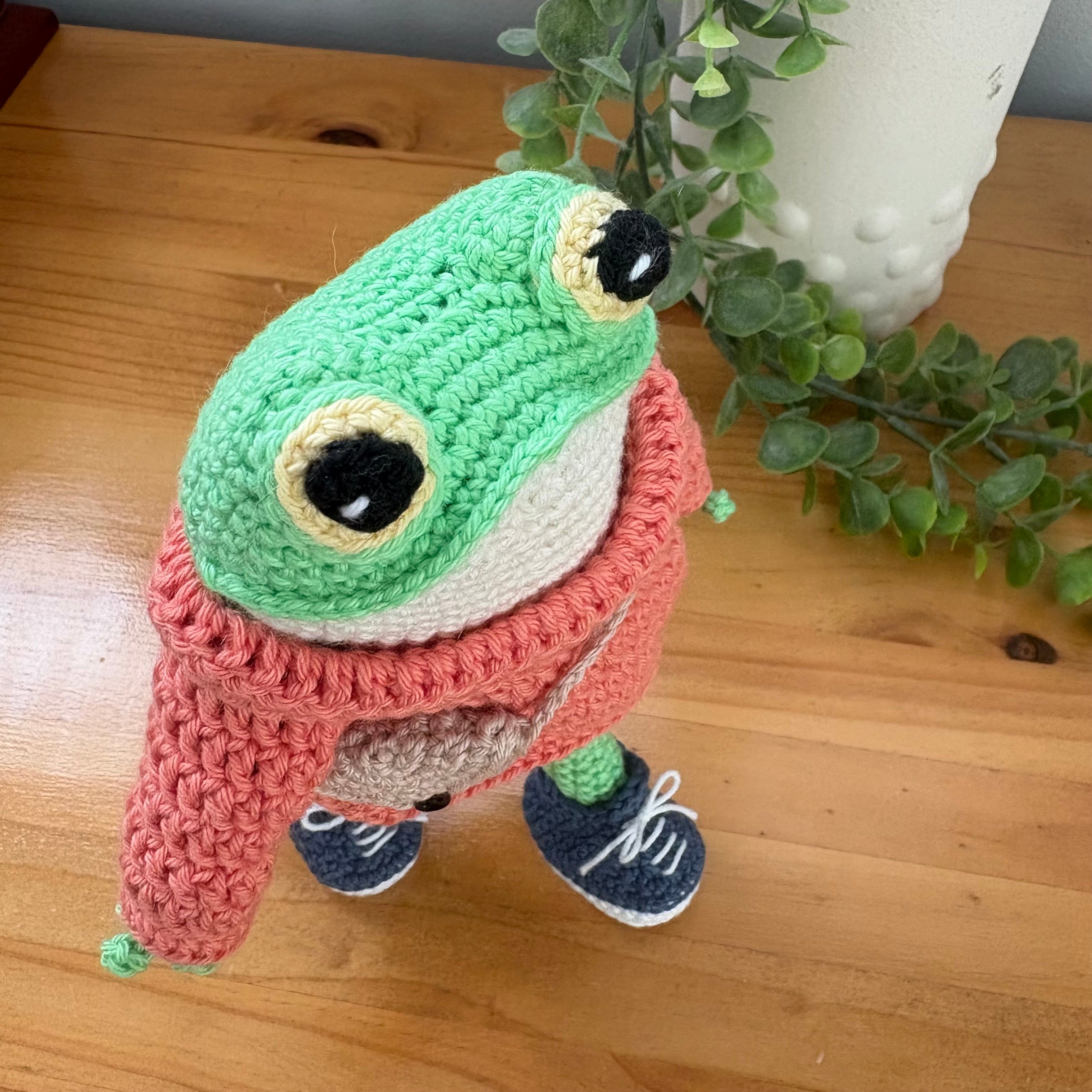 Frog in sweater and sneakers