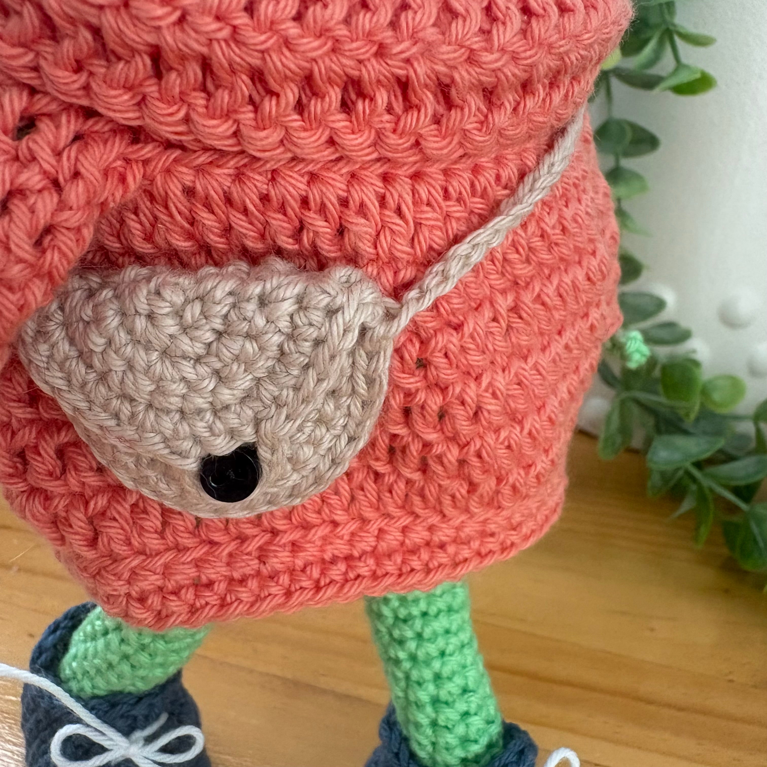 Frog in sweater and sneakers