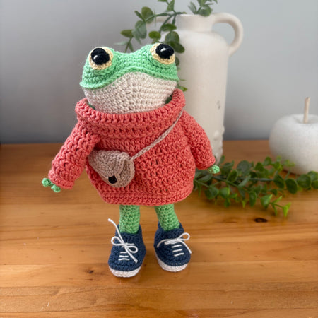 Frog in sweater and sneakers
