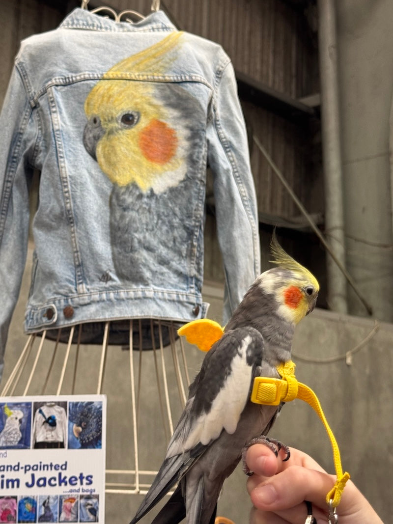 Cockatiel Hand-painted Denim Recycled Jacket 14
