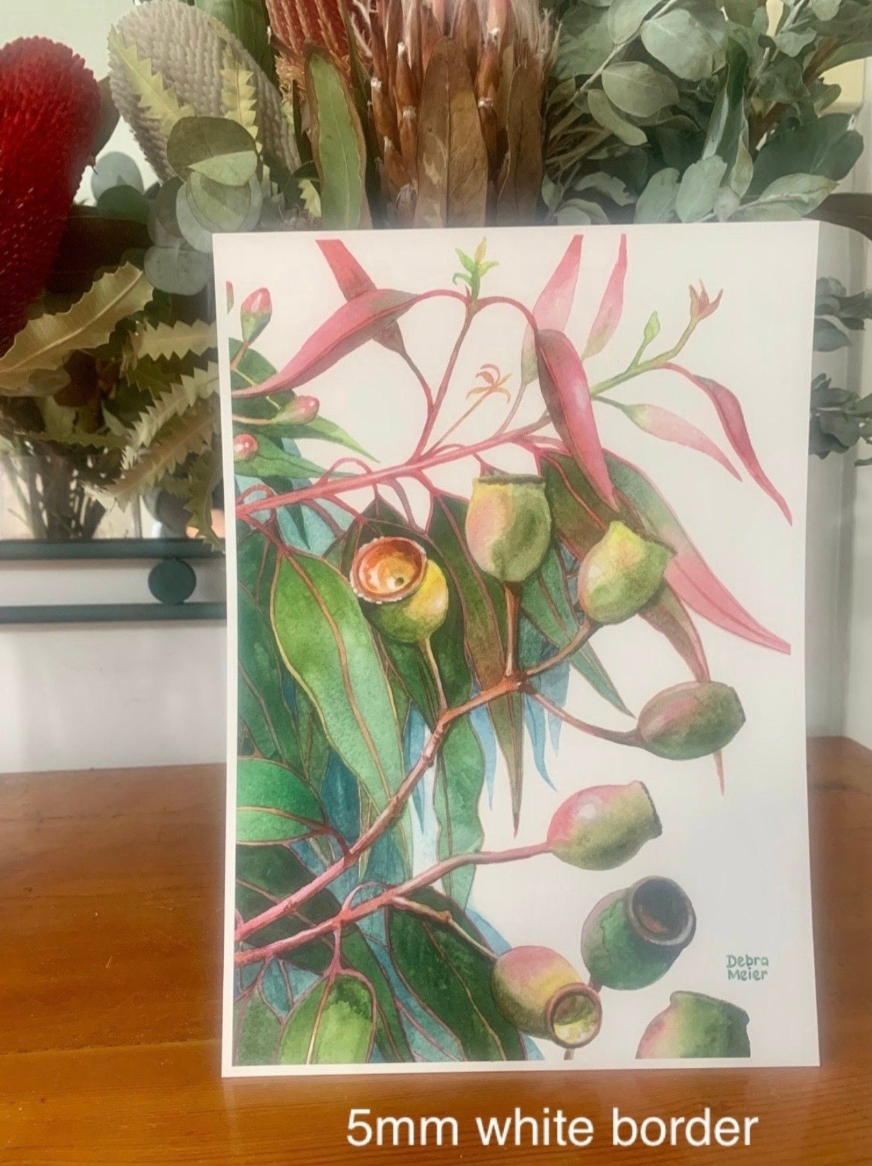 Gumnuts art print by Debra Meier