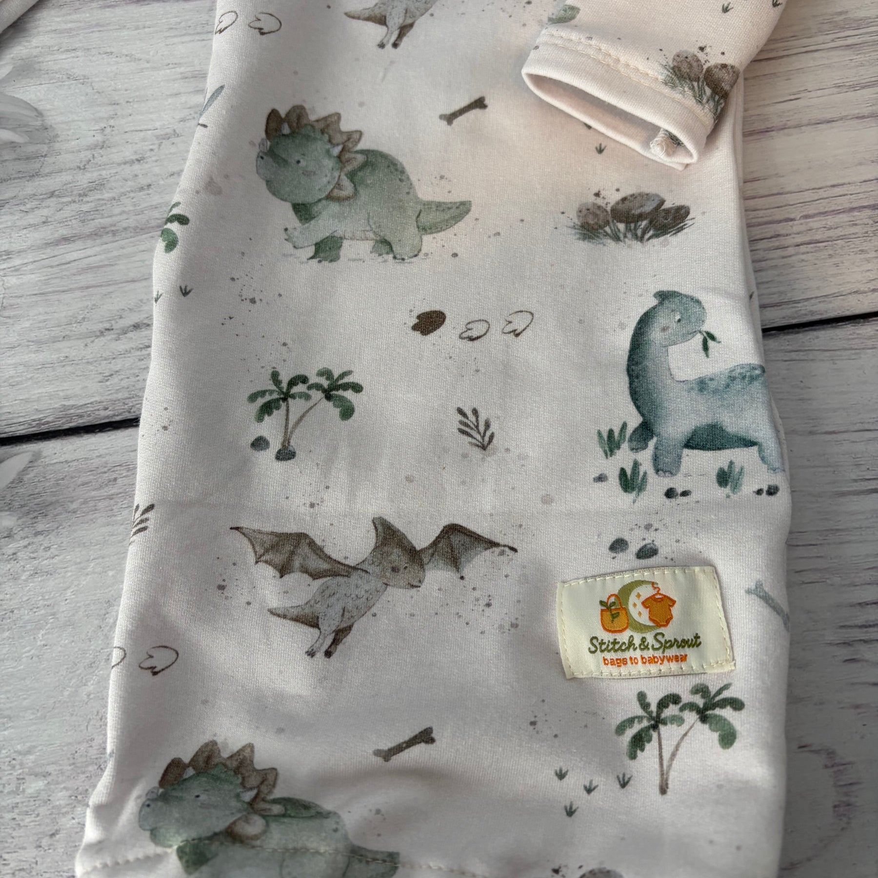 Dino Babies Gown Newborn 000