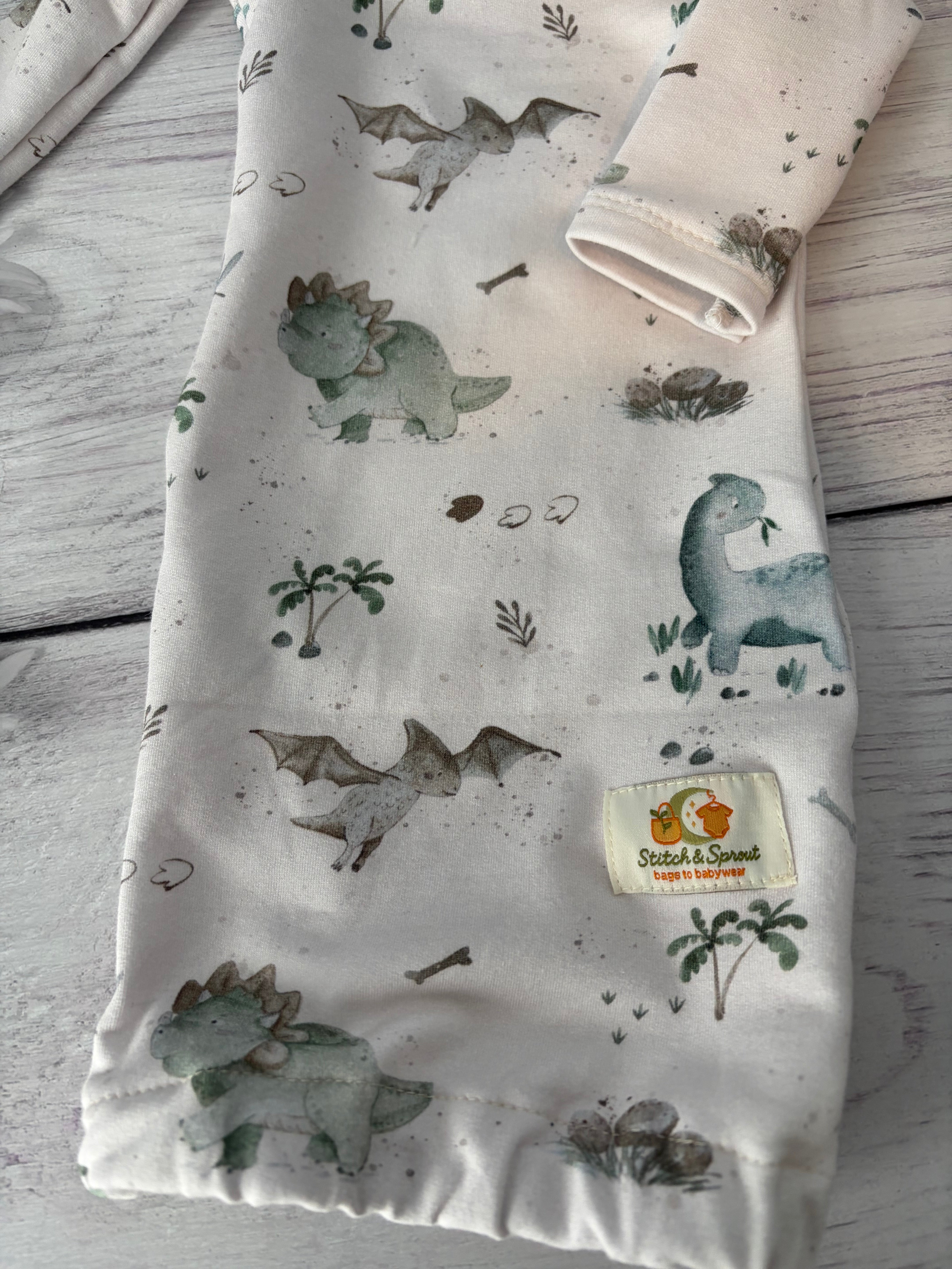 Dino Babies Gown Newborn 000