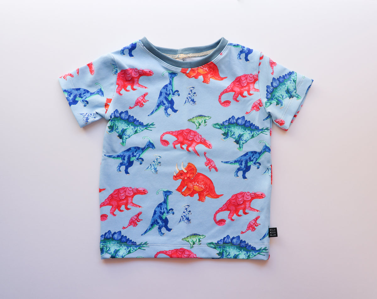 Colourful Dino Roars organic cotton tee shirt 2026-27