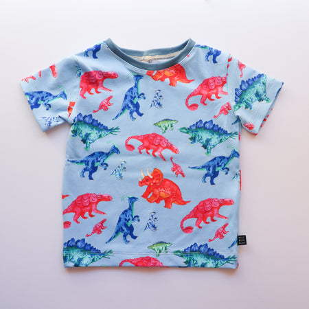 Colourful Dino Roars organic cotton tee shirt 2026-27
