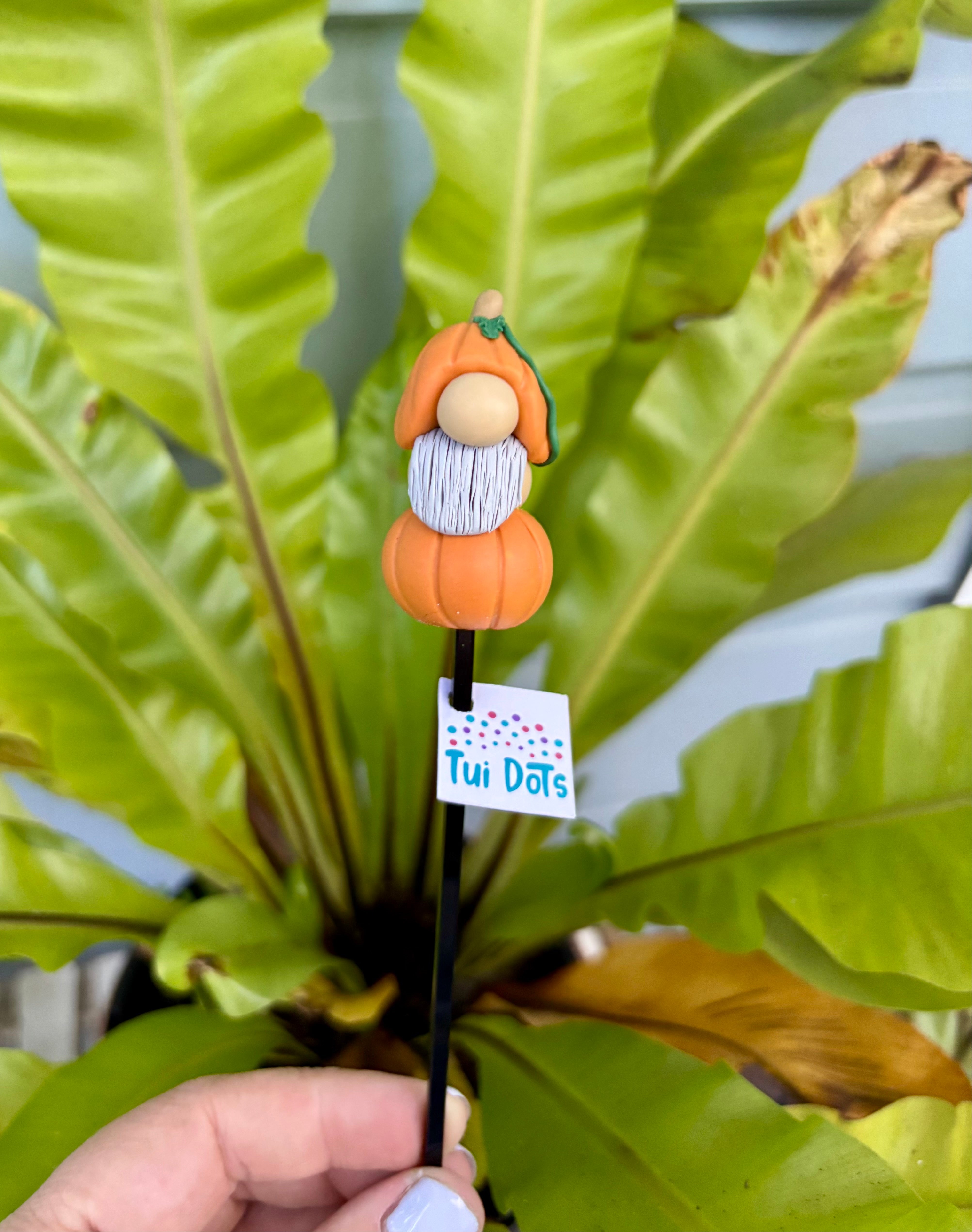 Halloween Tiny Gnomes - Pumpkin