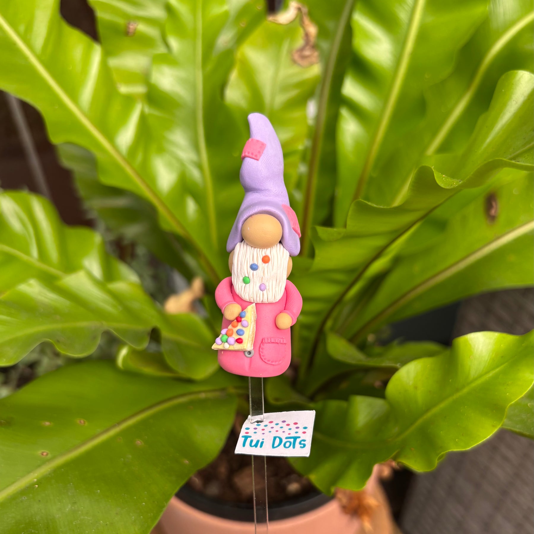 Tiny Gnome - Fairy bread