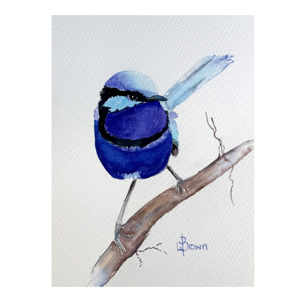 Mini Me #209 Splendid Fairy Wren Original Watercolour Painting
