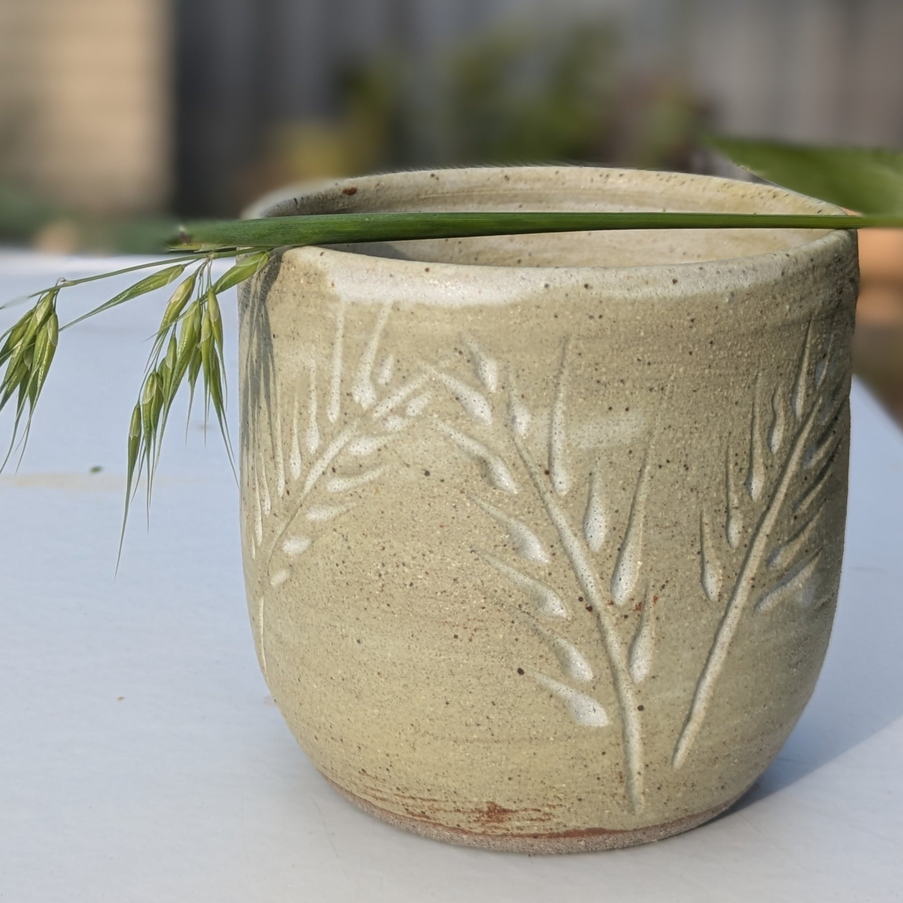 Wheat cup