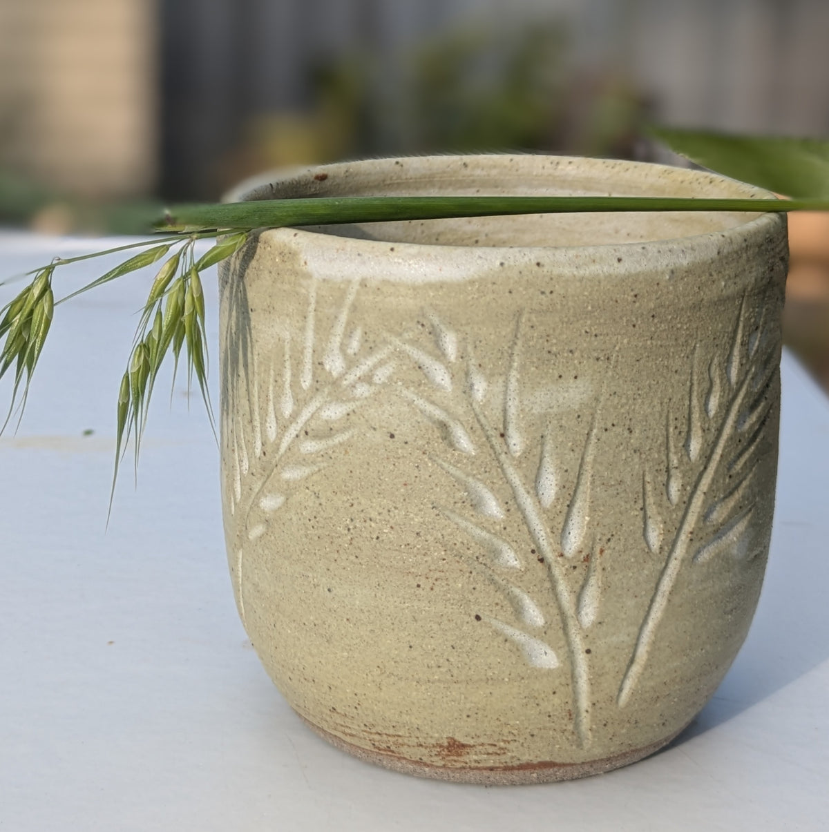 Wheat cup