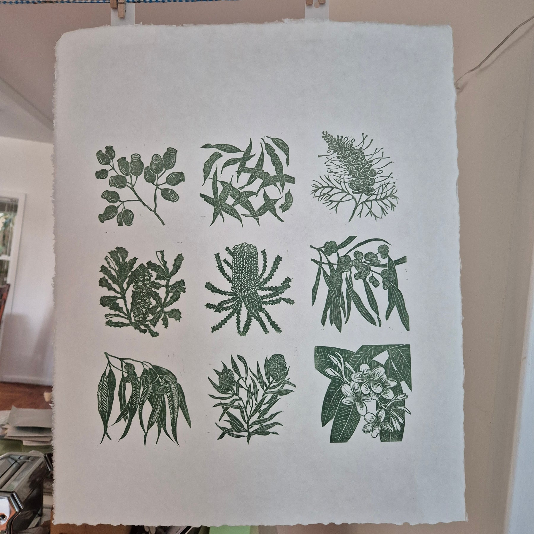 Linocut original artwork native plants green