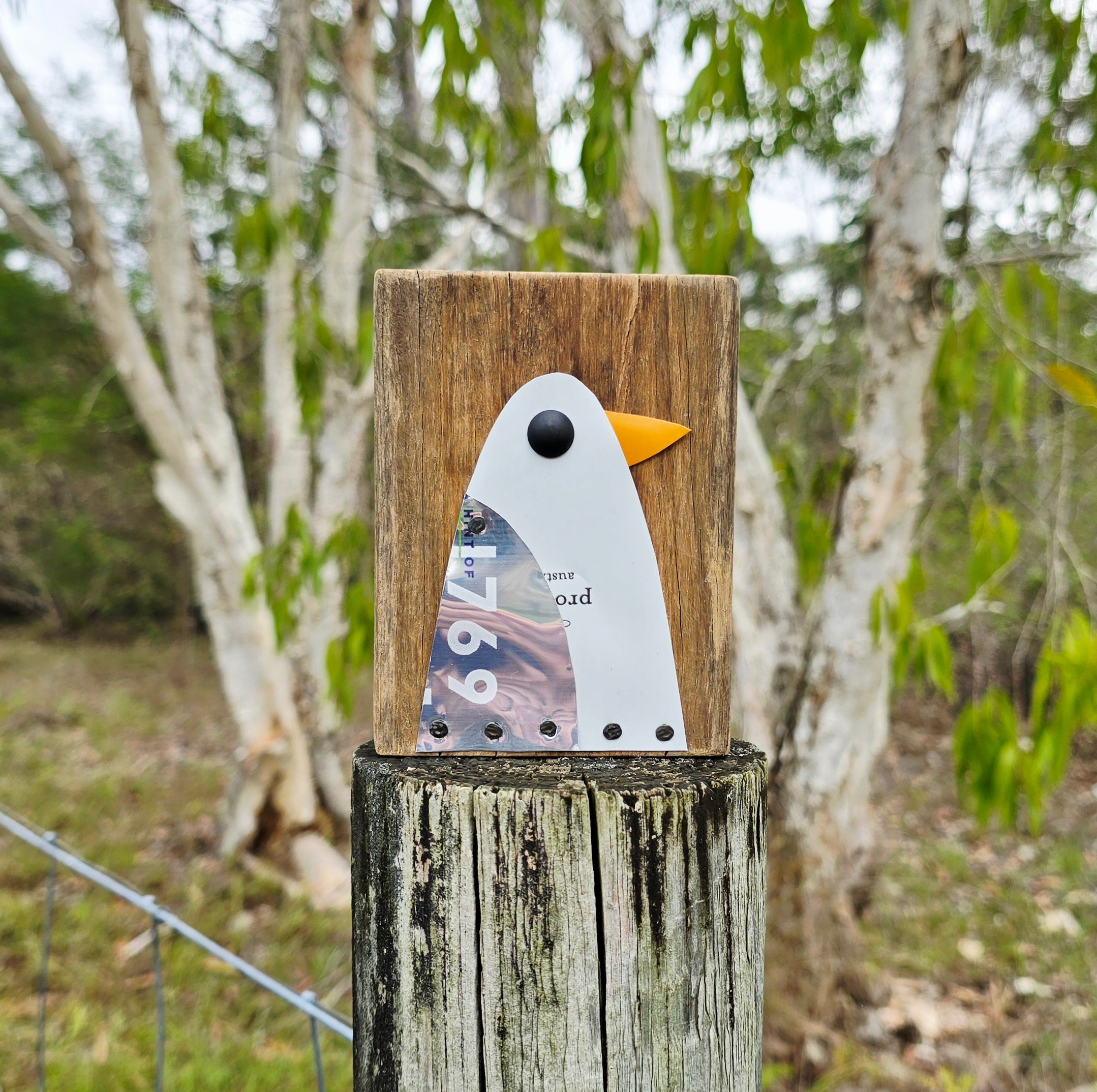 BIRD BLOCK - SILVER GULL