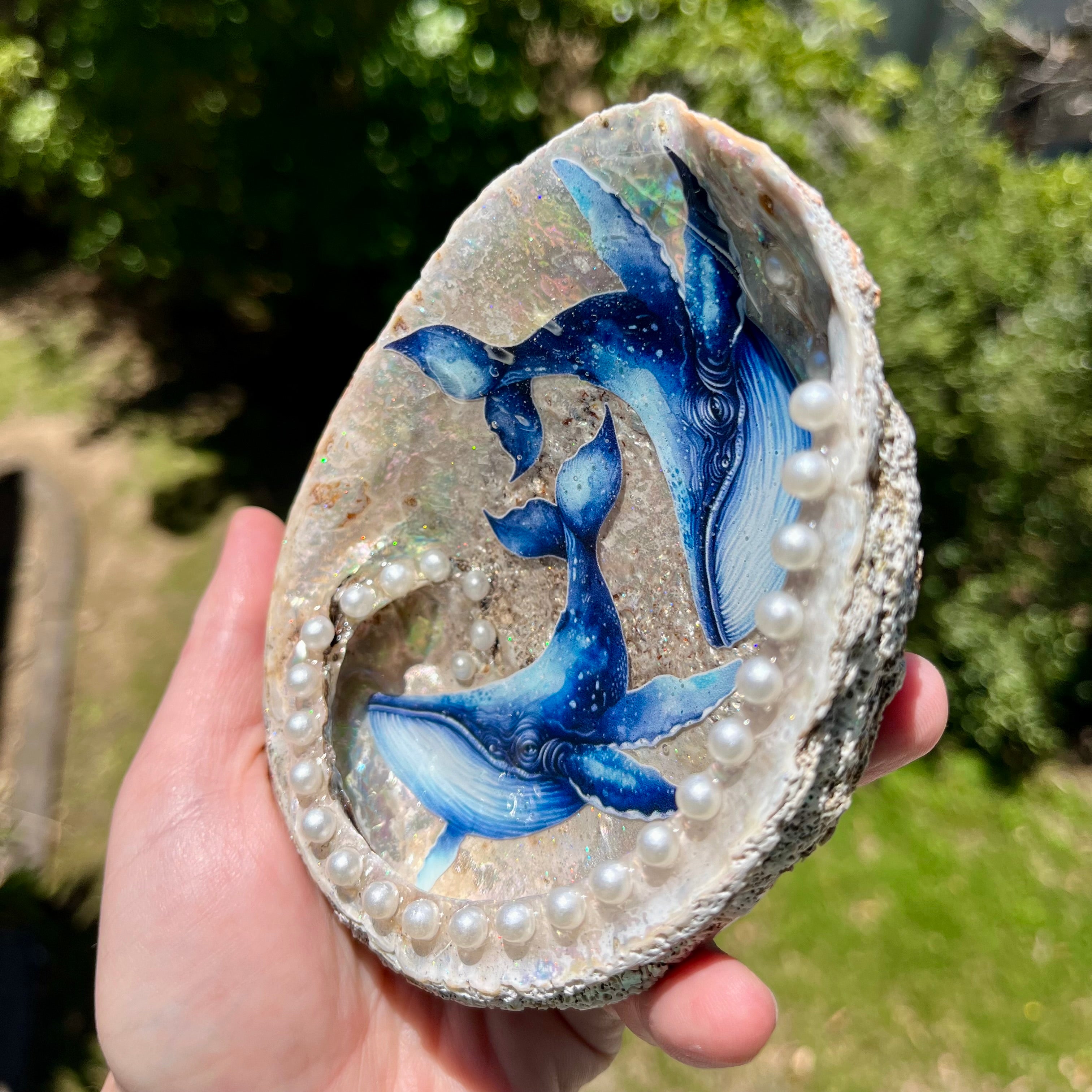 Shell Dish For Jewellery With Whales