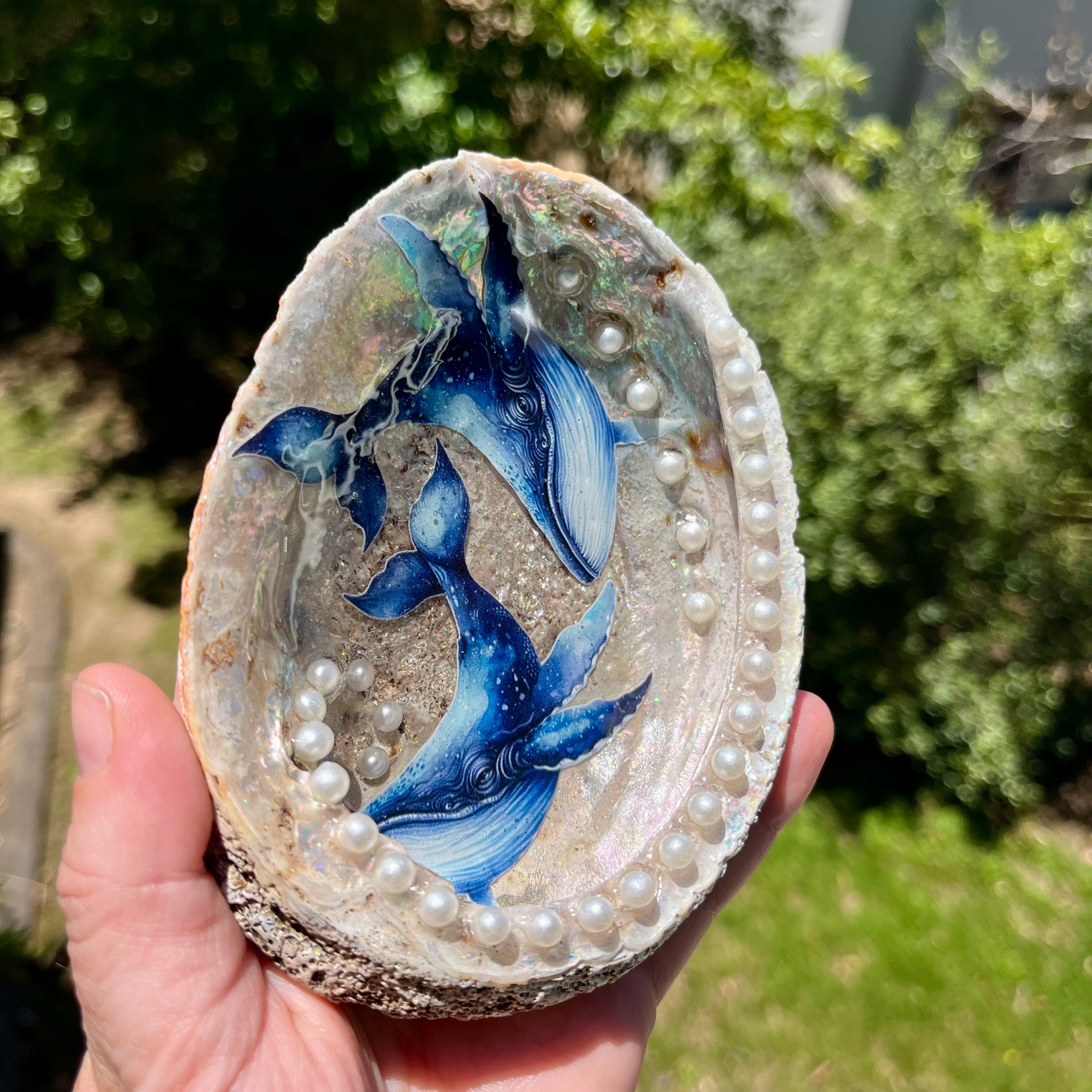 Shell Dish For Jewellery With Whales