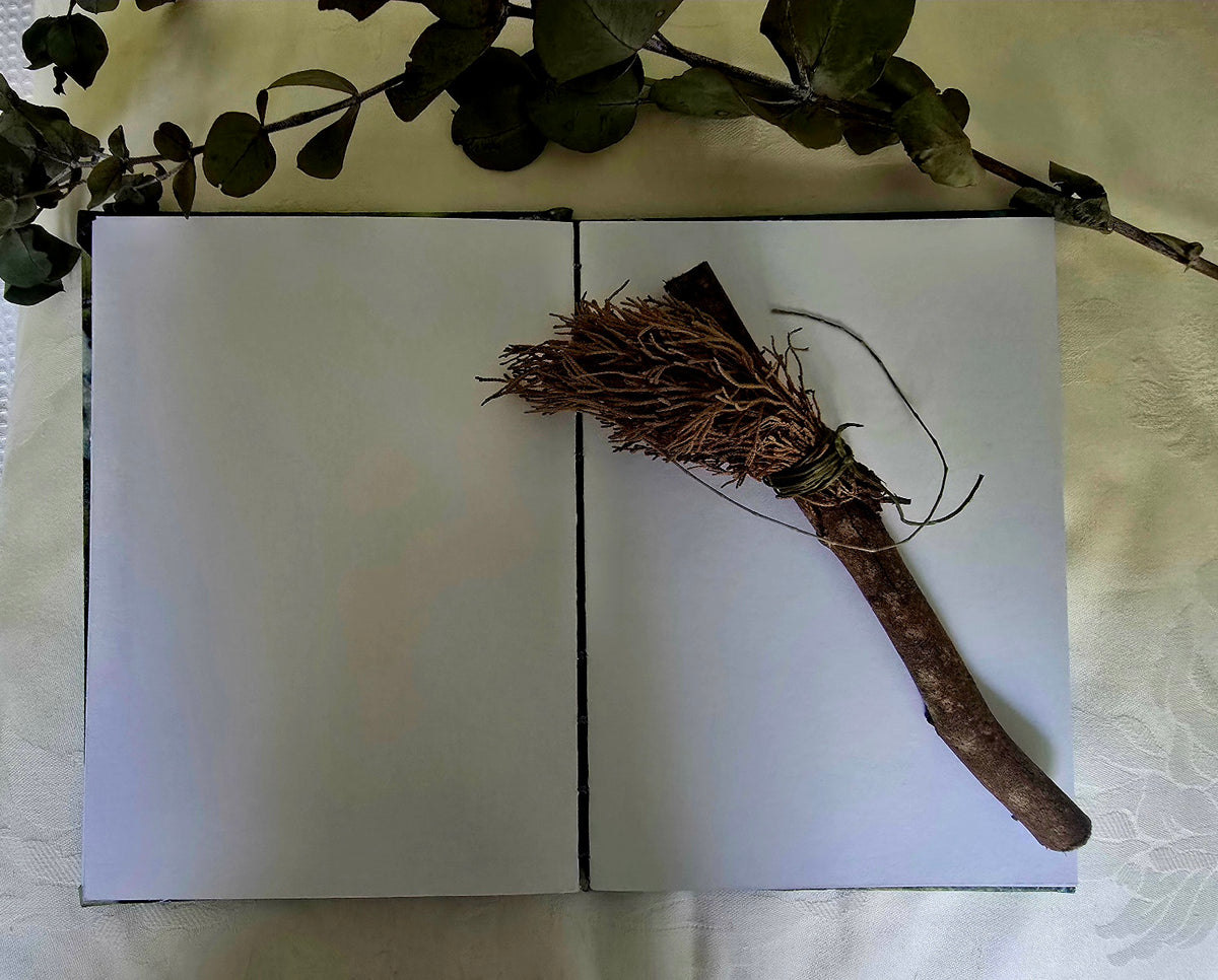 Maple Whispers — Solar-Printed Botanical Journal