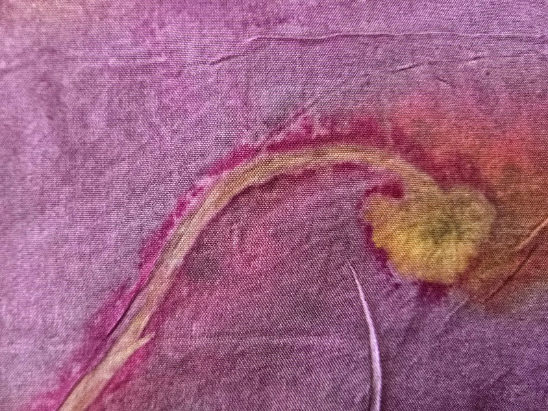 Wandered Leaf Eco-Printed Silk Scarf