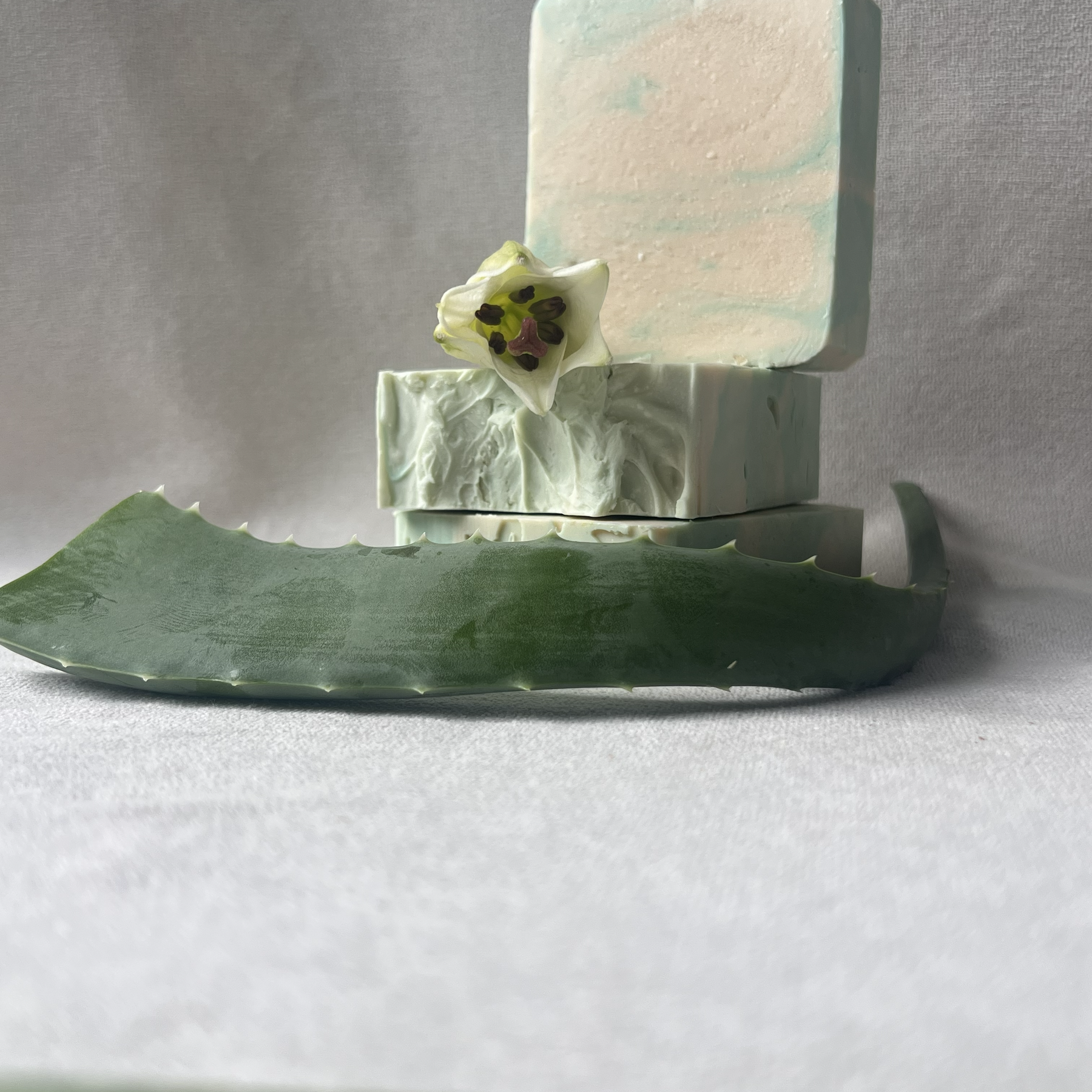 Limited collection | Aloe Mist
